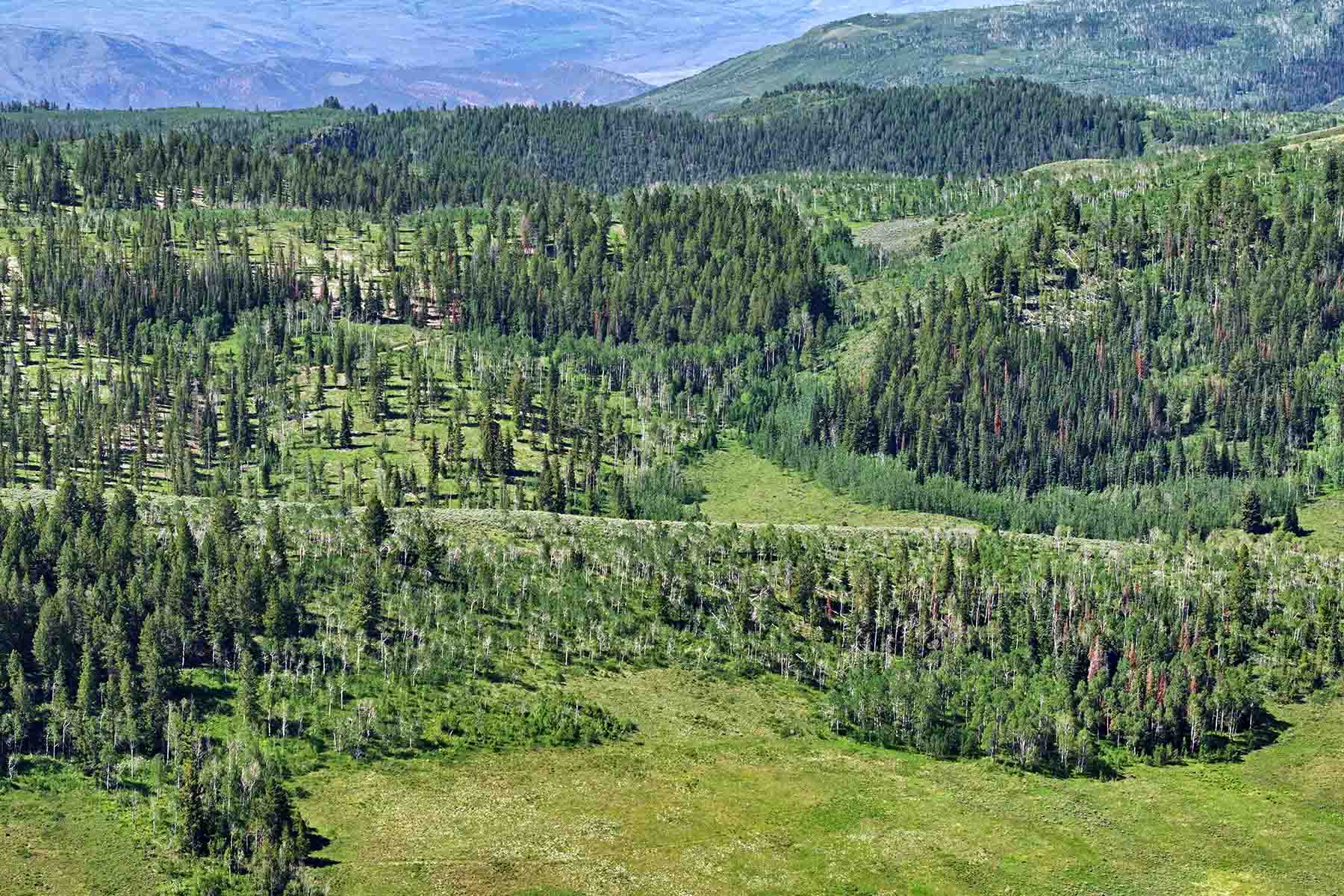 W7 Ranch at King Creek property picture 34 of 117