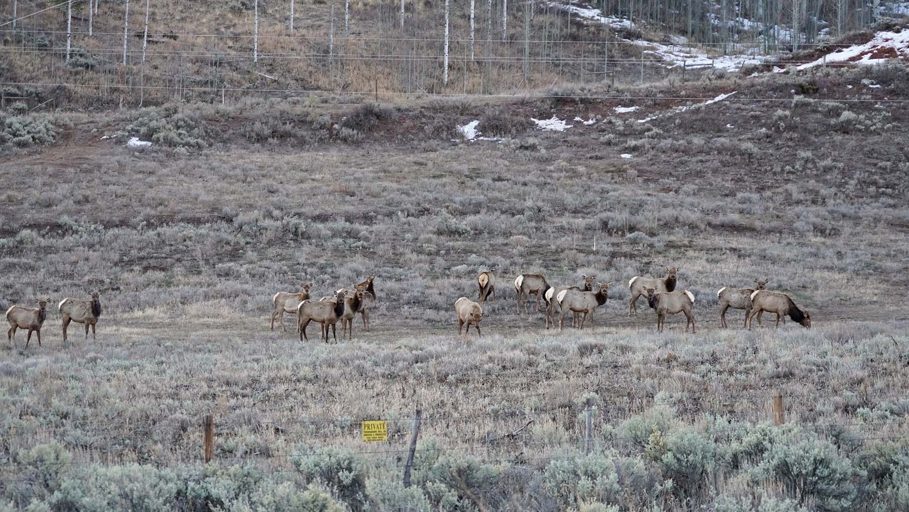 W7 Ranch at King Creek property picture 91 of 117