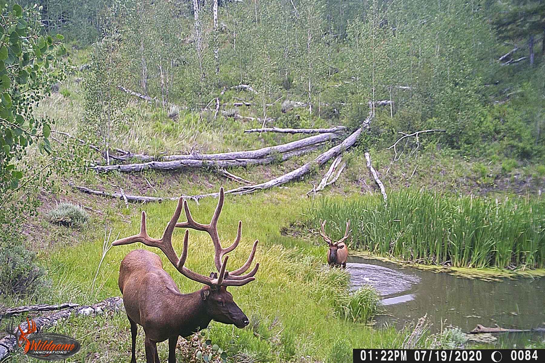 W7 Ranch at King Creek property picture 98 of 117