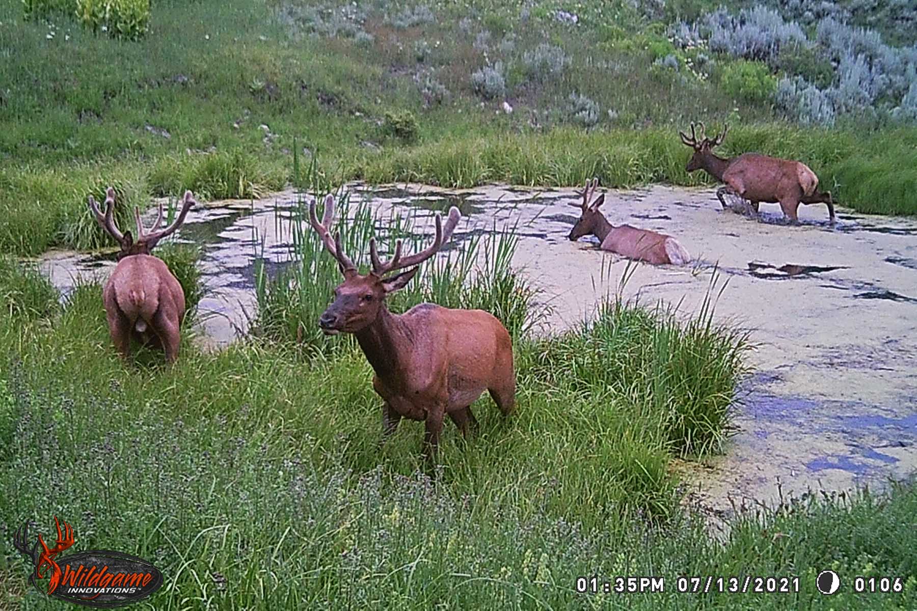 W7 Ranch at King Creek property picture 102 of 117
