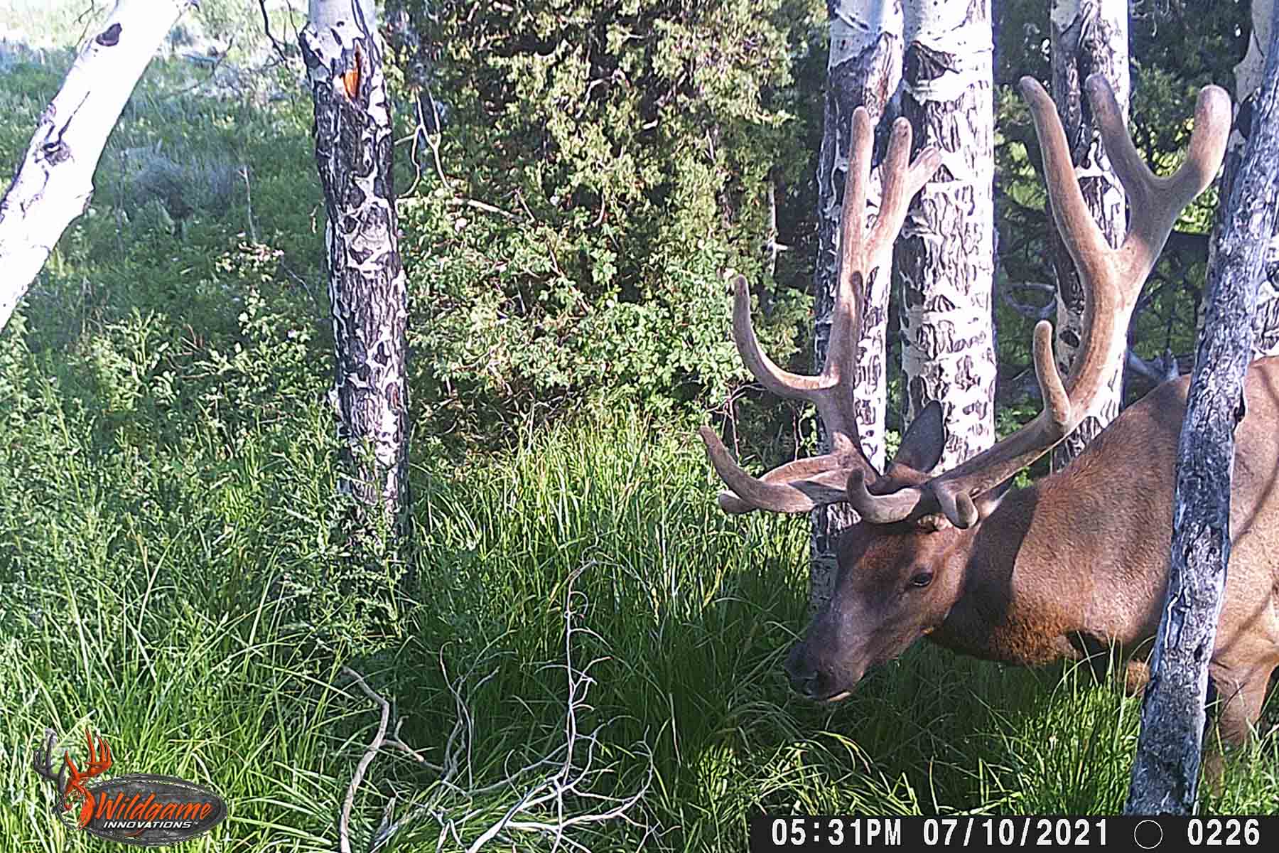 W7 Ranch at King Creek property picture 101 of 117