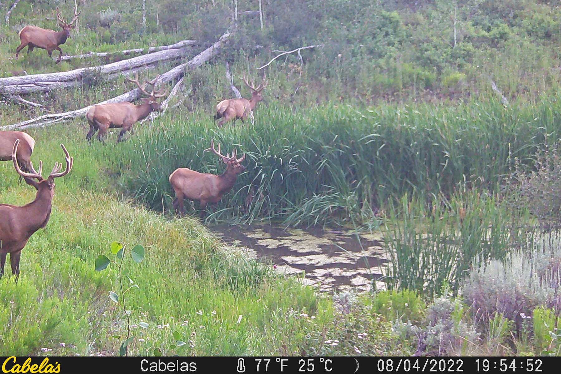 W7 Ranch at King Creek property picture 104 of 117