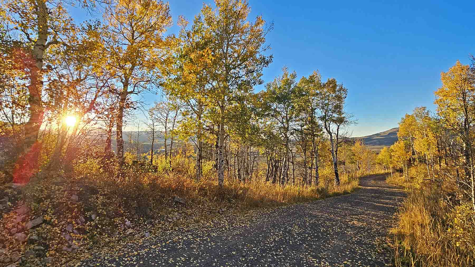 W7 Ranch at King Creek property picture 6 of 117