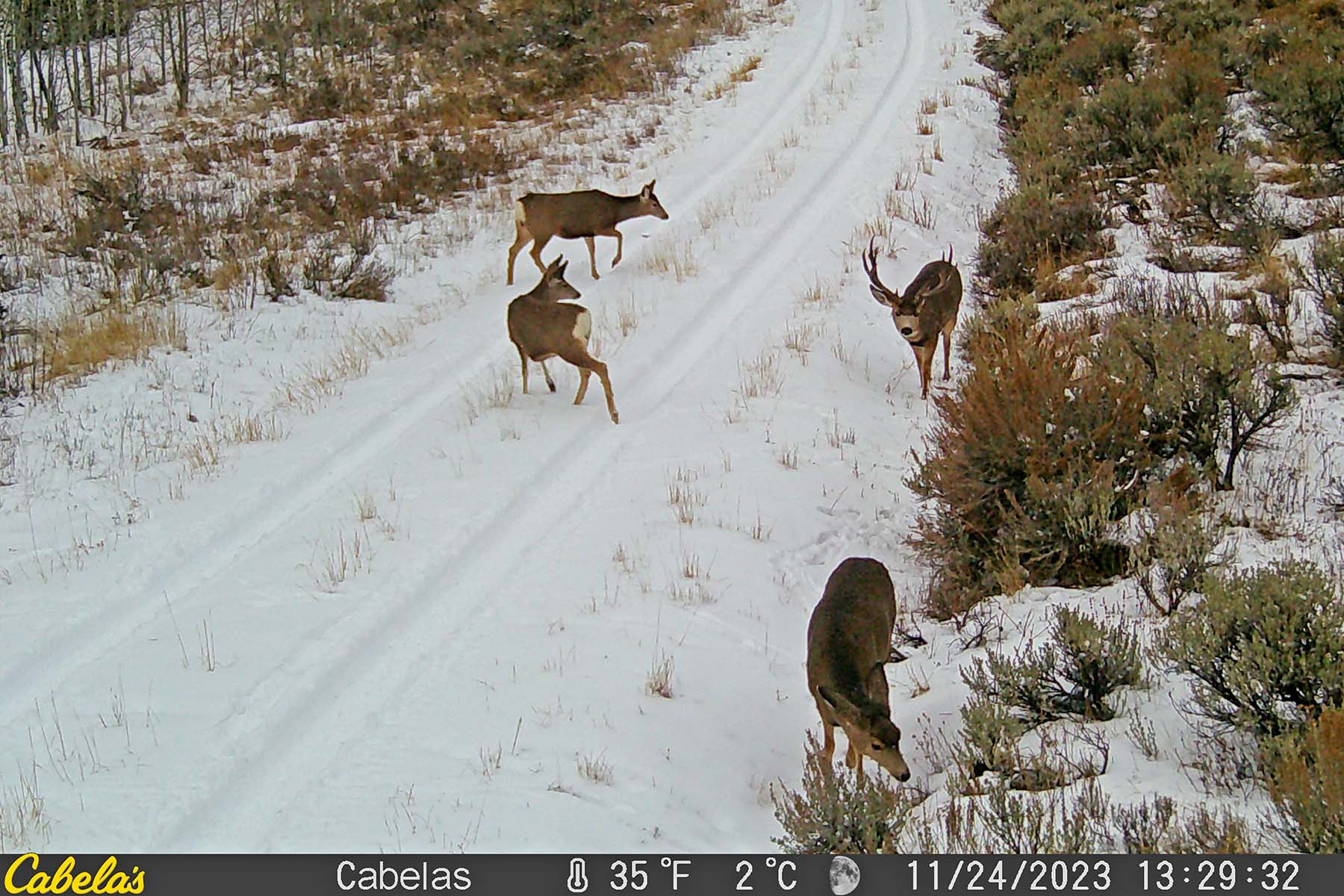 W7 Ranch at King Creek property picture 96 of 117