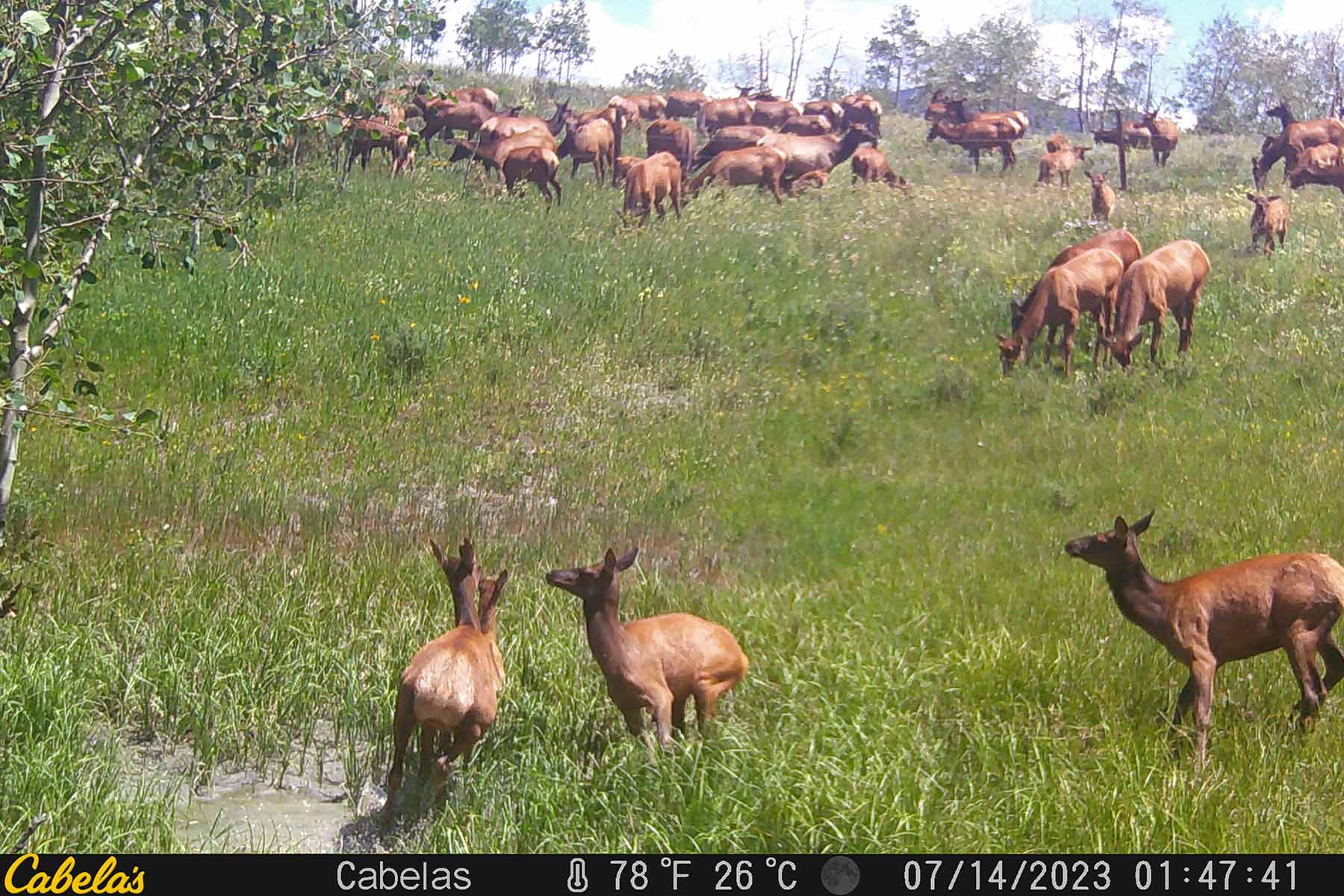 W7 Ranch at King Creek property picture 108 of 117