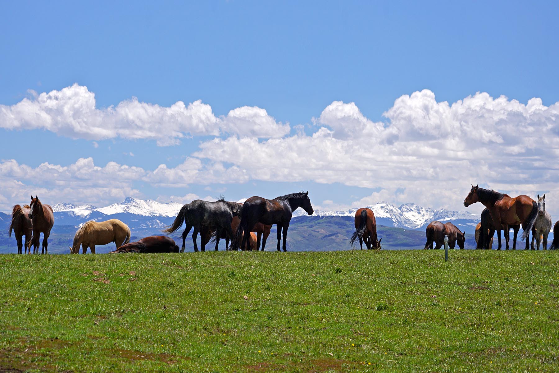 W7 Ranch at King Creek property picture 86 of 117