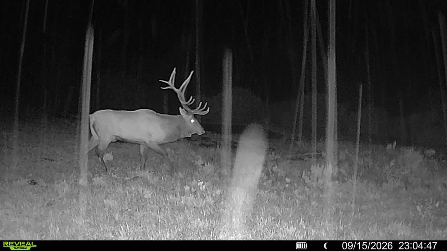 W7 Ranch at King Creek property picture 2 of 124