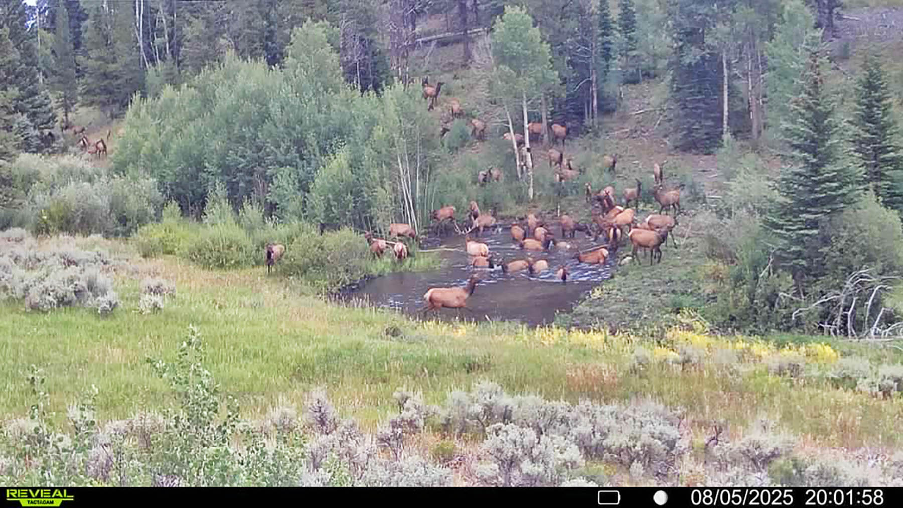 W7 Ranch at King Creek property picture 94 of 117