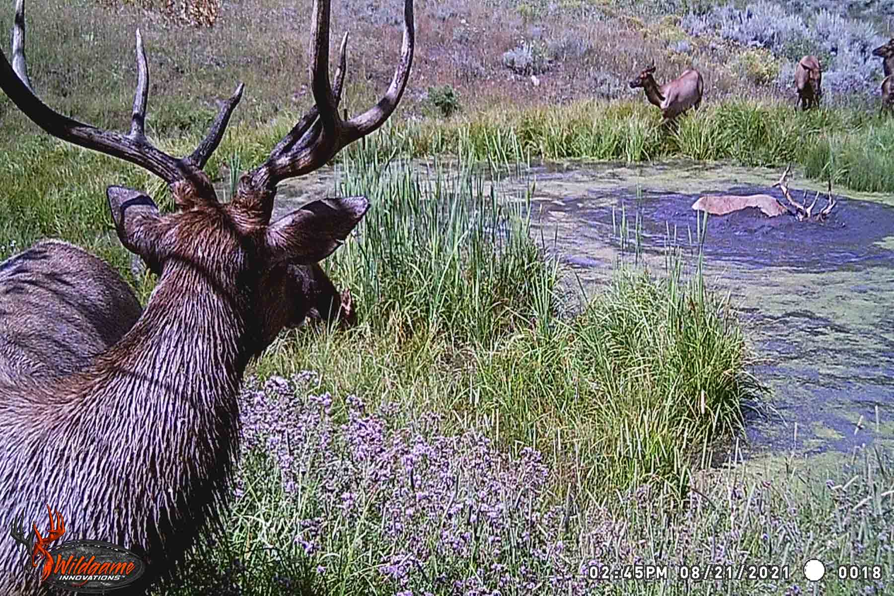 W7 Ranch at King Creek property picture 117 of 117