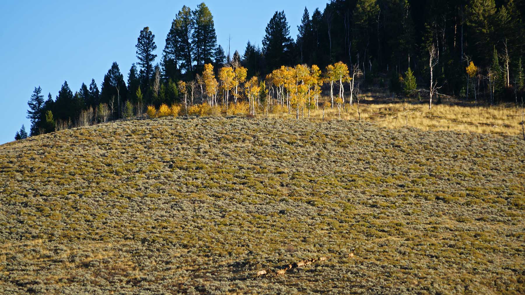 W7 Ranch at King Creek property picture 89 of 117