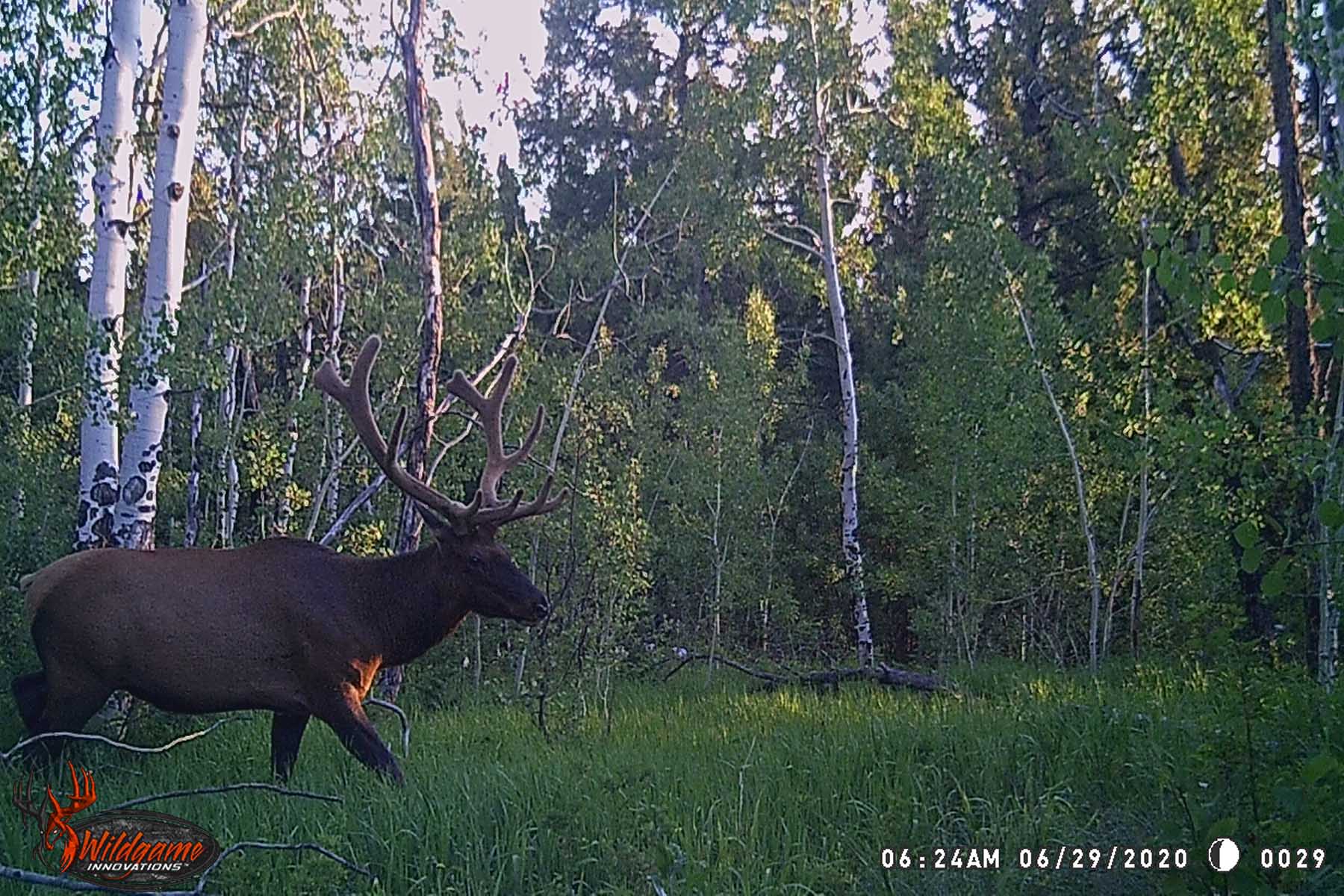 W7 Ranch at King Creek property picture 115 of 117