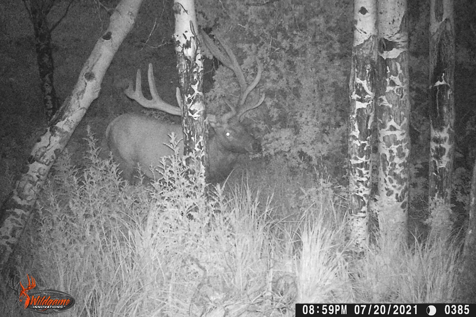 W7 Ranch at King Creek property picture 99 of 117