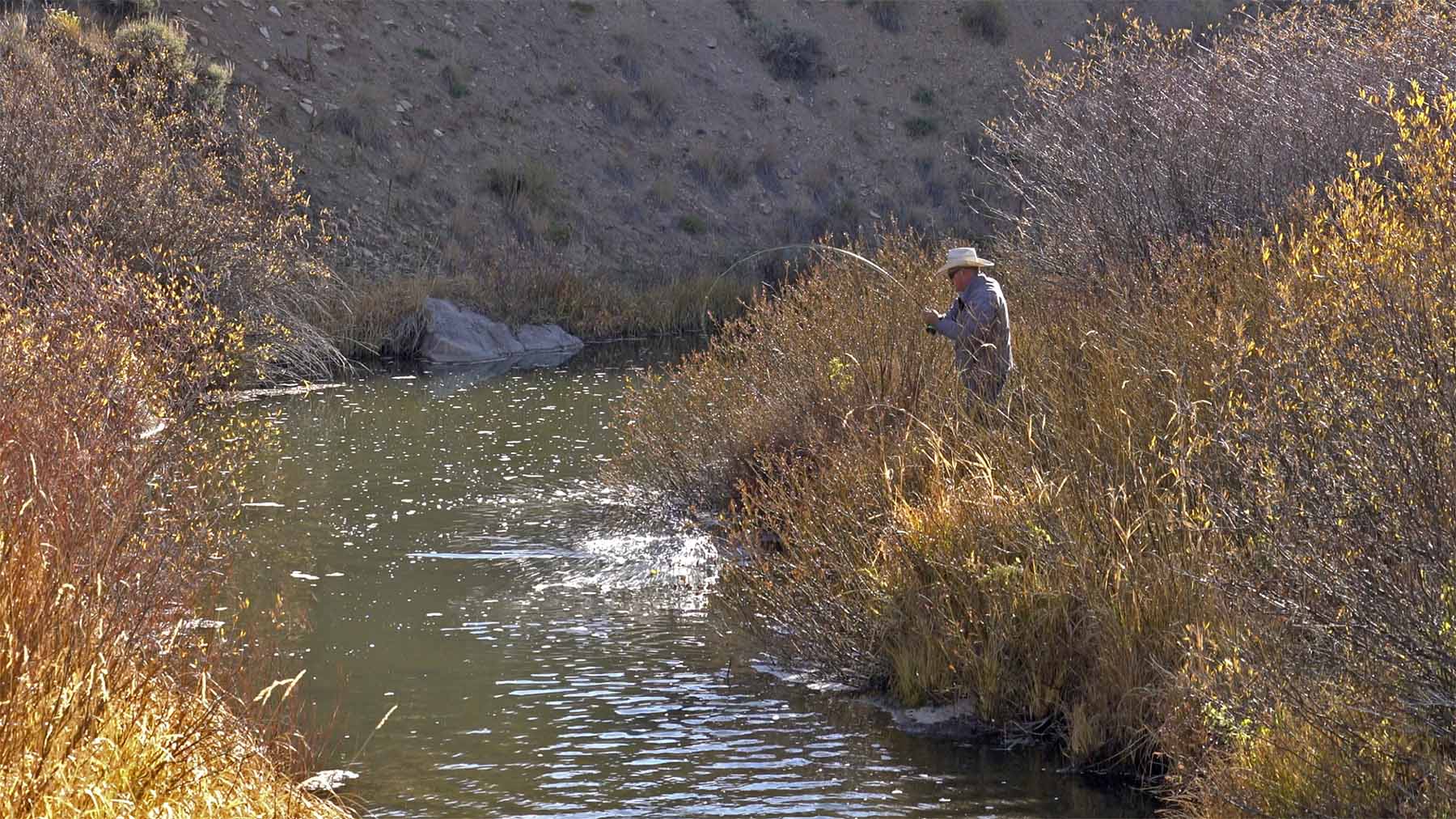 W7 Ranch at King Creek property picture 30 of 117