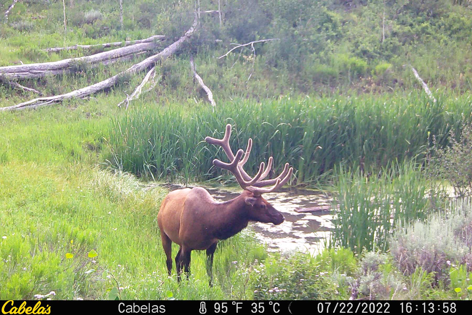 W7 Ranch at King Creek property picture 107 of 117