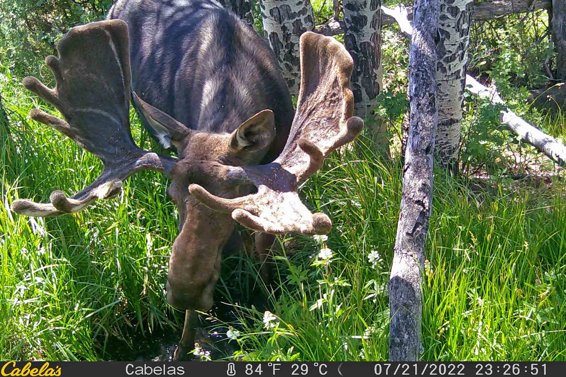W7 Ranch at King Creek property picture 95 of 117