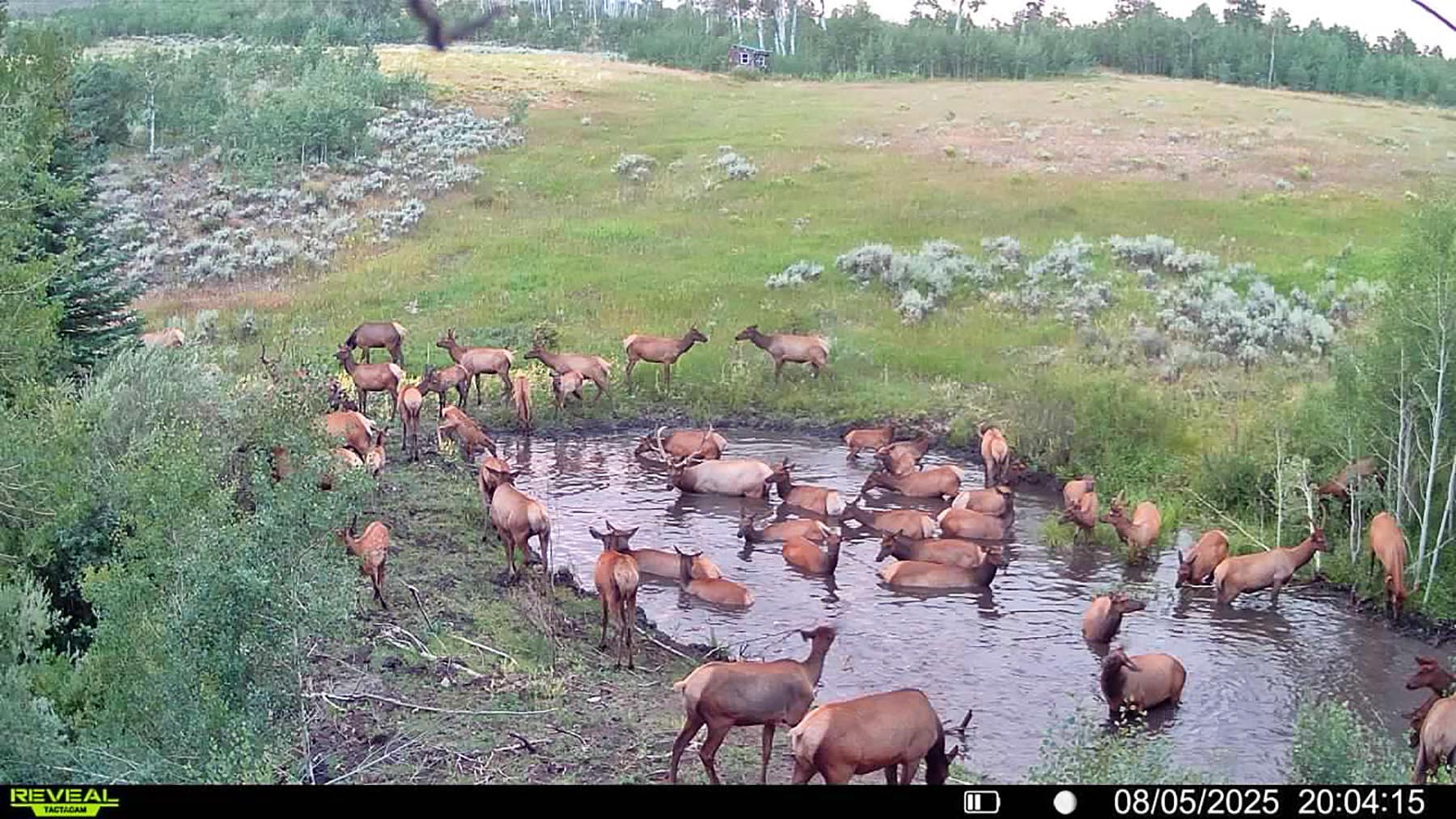 W7 Ranch at King Creek property picture 100 of 117