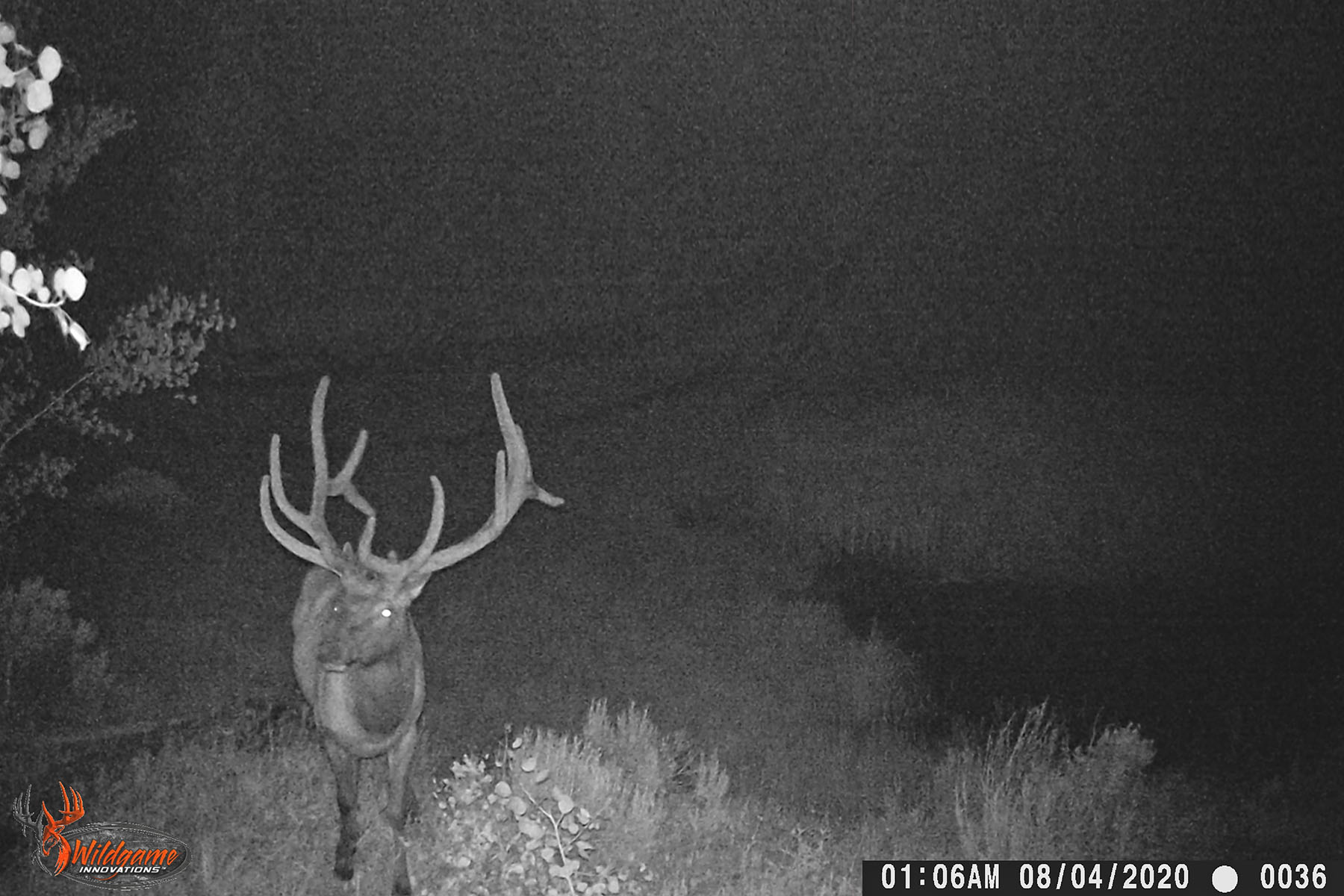 W7 Ranch at King Creek property picture 93 of 117