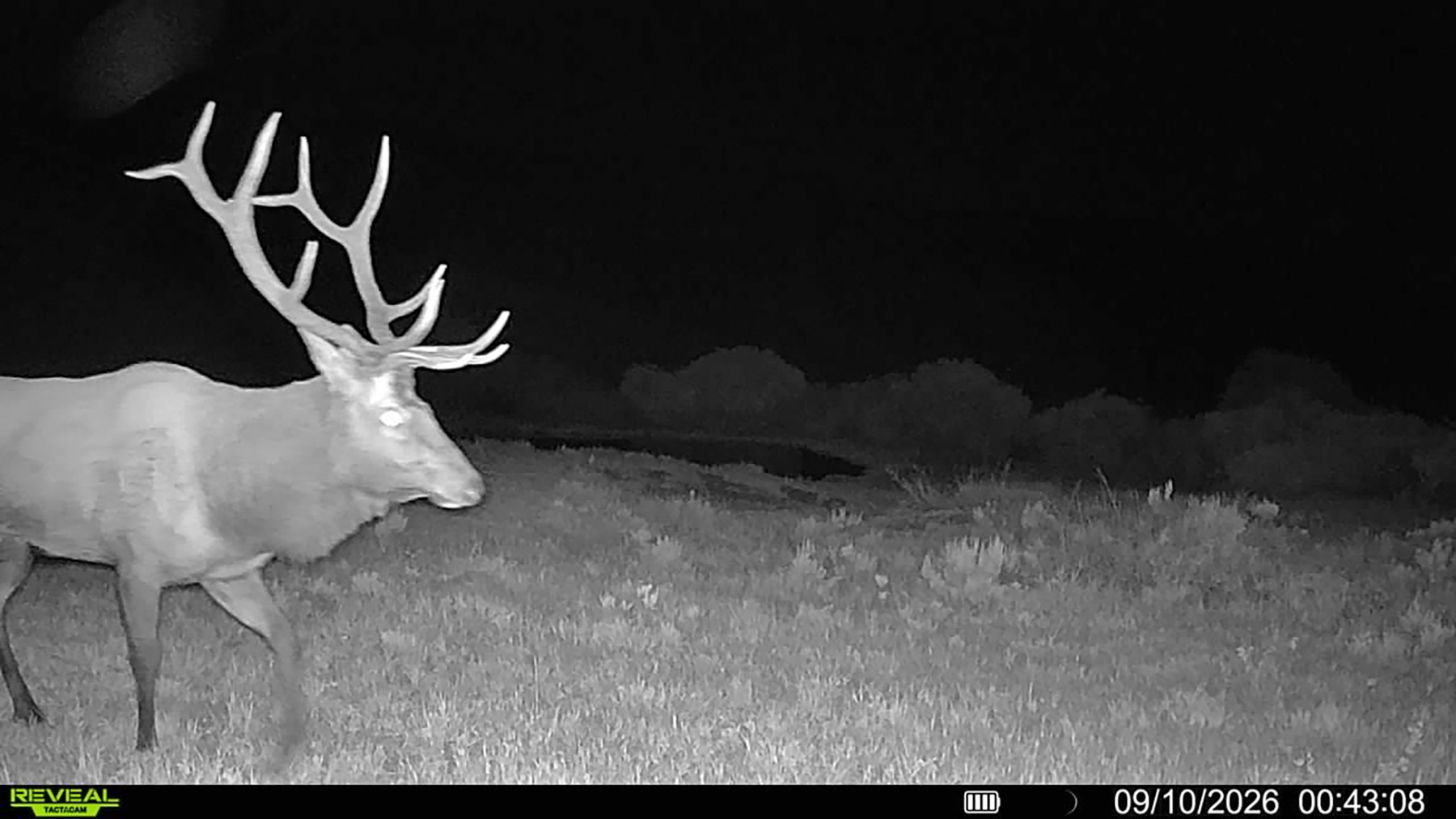 W7 Ranch at King Creek property picture 8 of 124