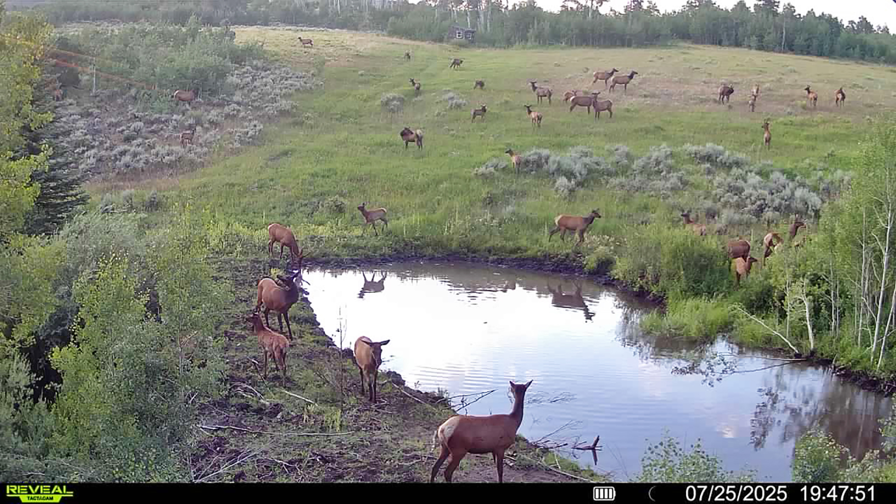 W7 Ranch at King Creek property picture 103 of 117