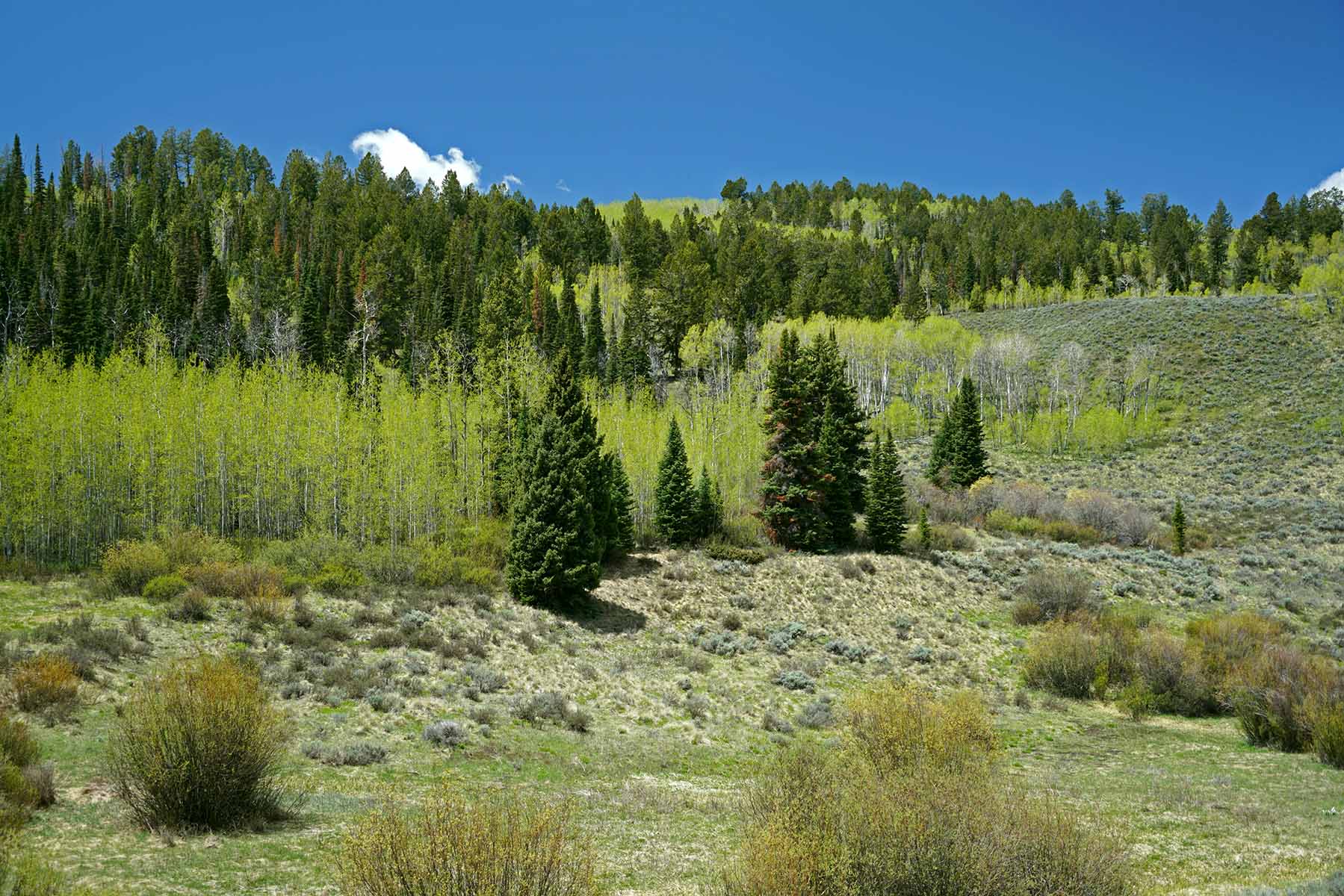 W7 Ranch at King Creek property picture 41 of 117