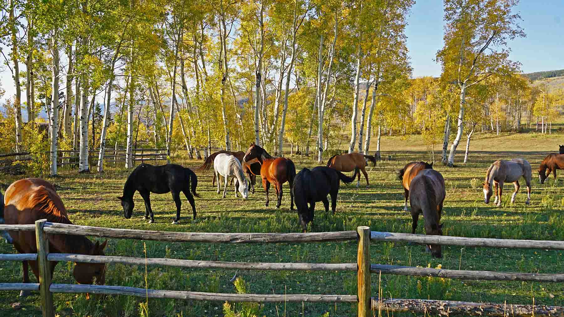 W7 Ranch at King Creek property picture 66 of 117
