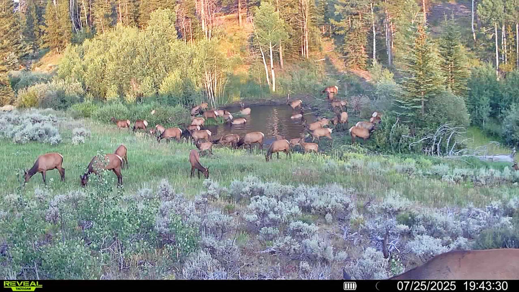 W7 Ranch at King Creek property picture 105 of 117