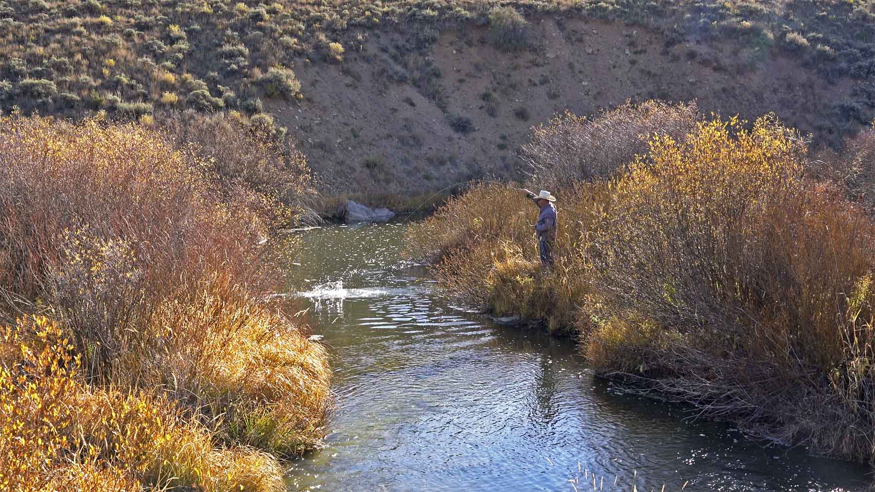 W7 Ranch at King Creek property picture 19 of 117