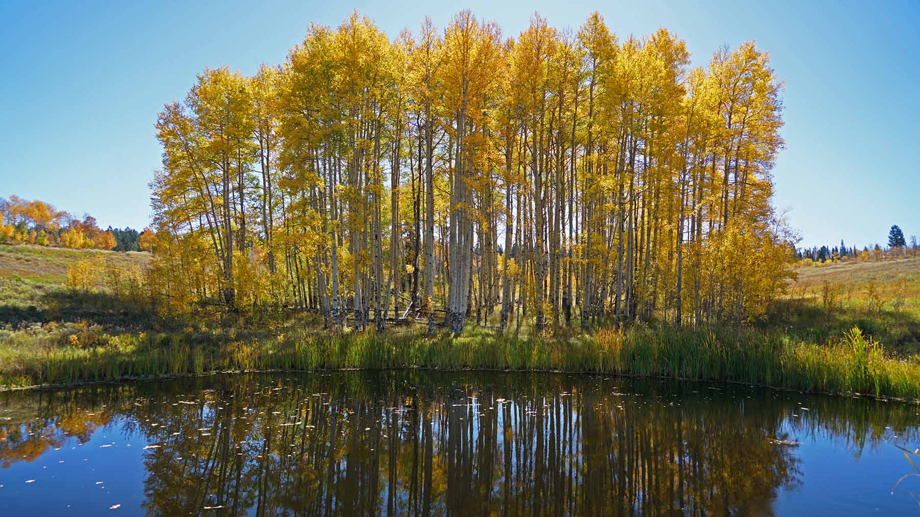 W7 Ranch at King Creek property picture 13 of 117