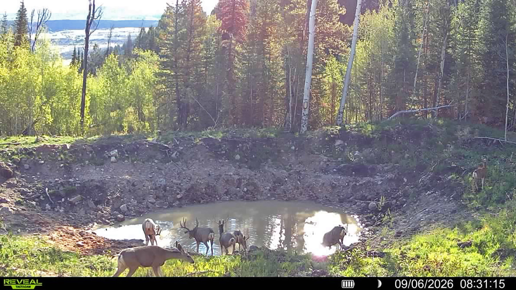 W7 Ranch at King Creek property picture 4 of 124