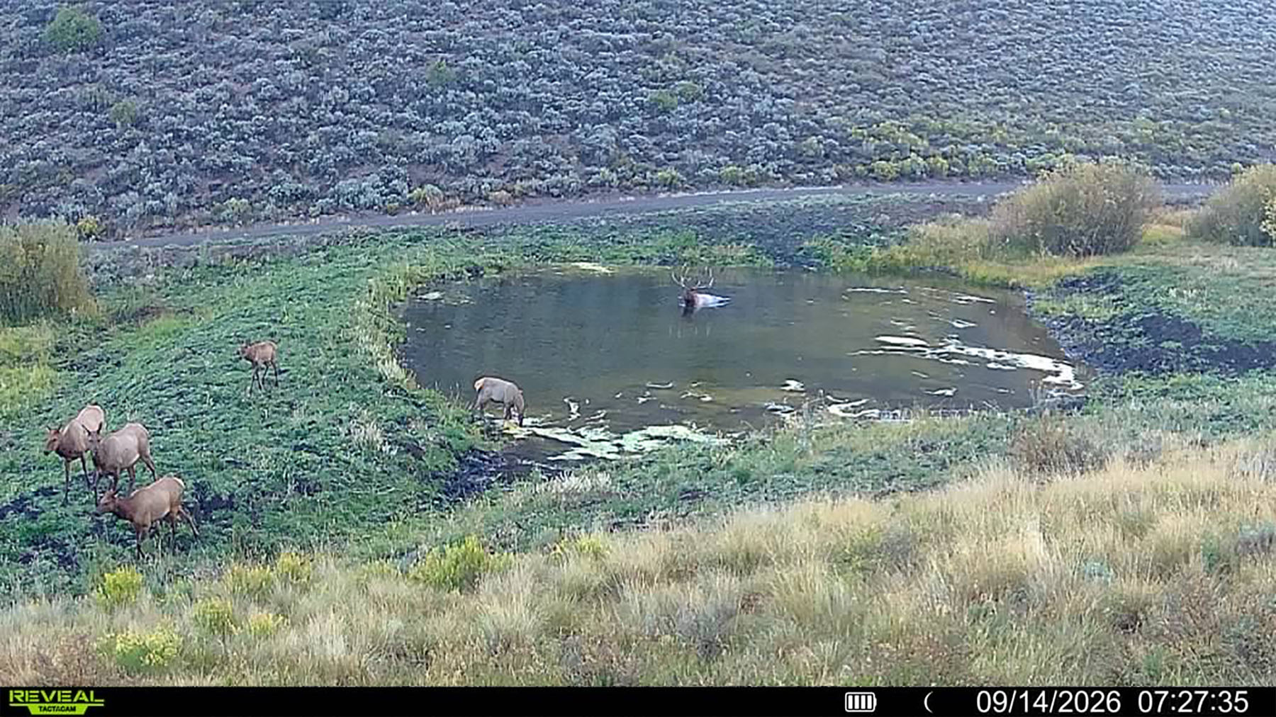 W7 Ranch at King Creek property picture 6 of 124