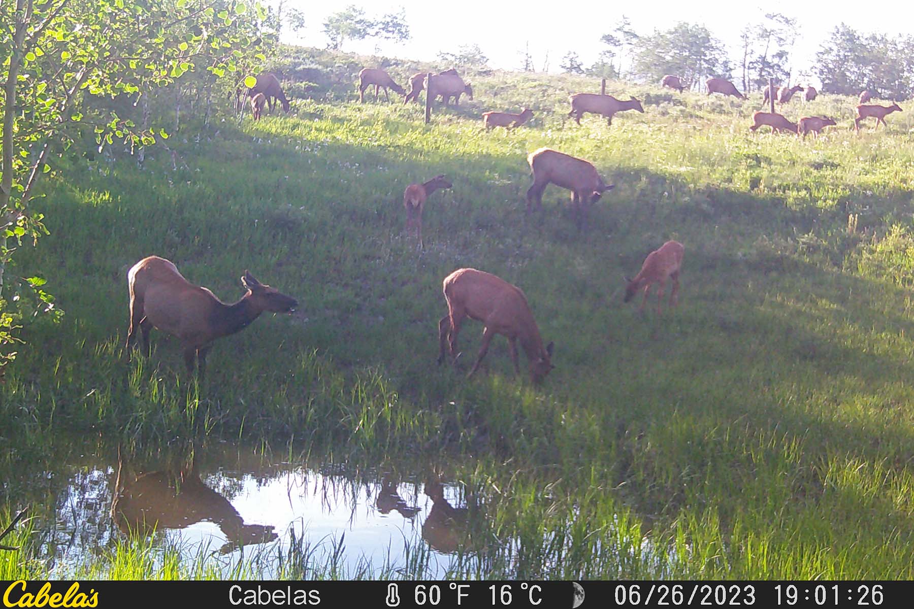 W7 Ranch at King Creek property picture 113 of 117