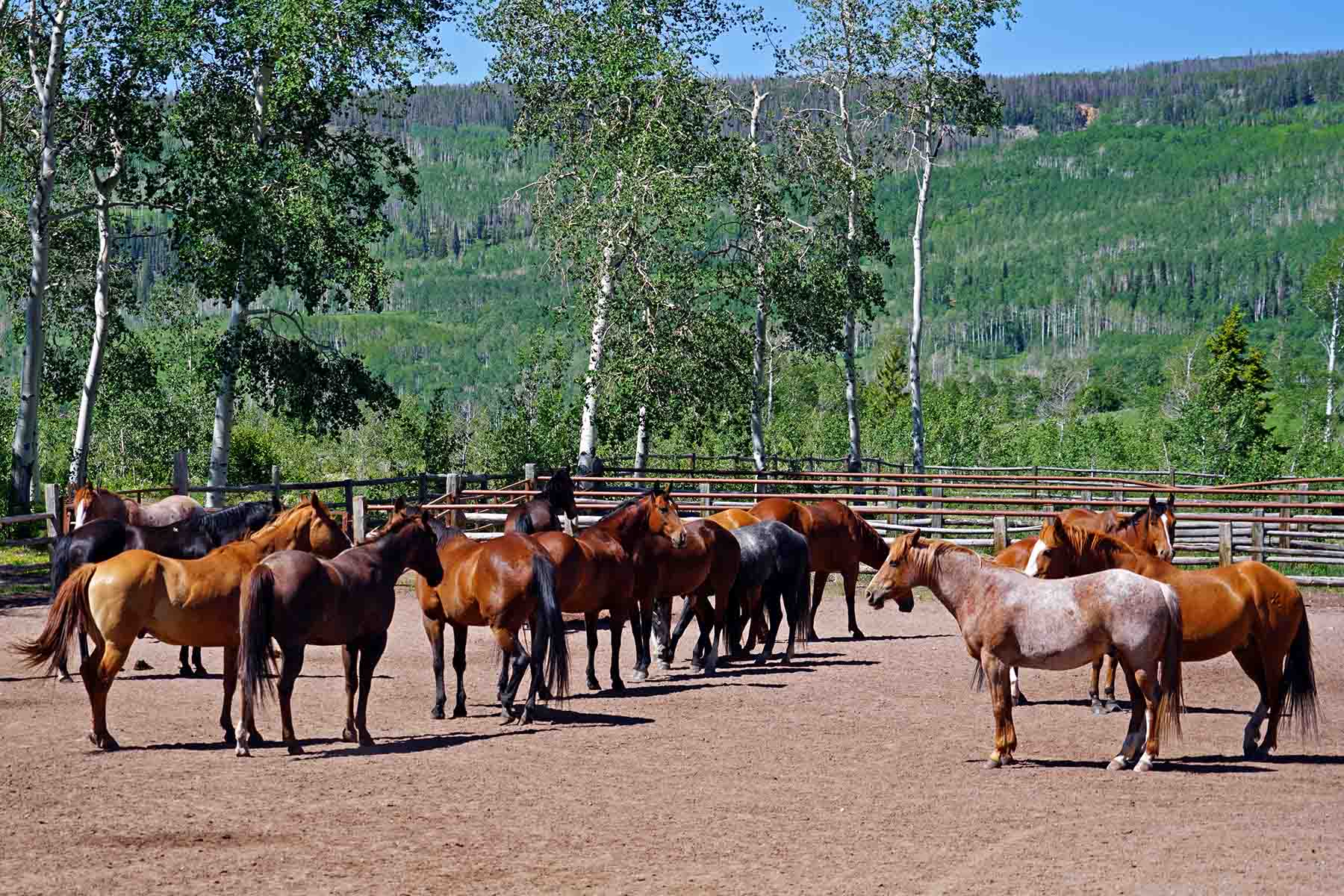 W7 Ranch at King Creek property picture 71 of 117