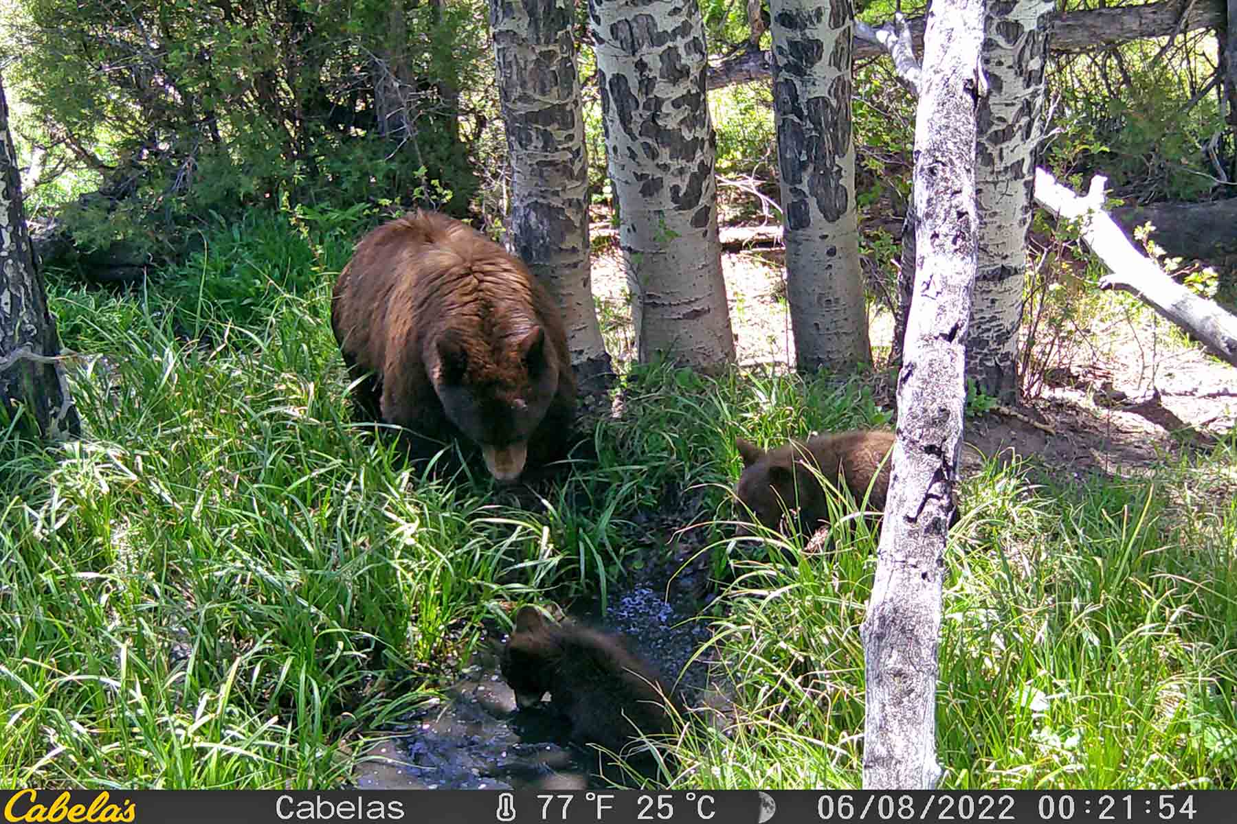W7 Ranch at King Creek property picture 97 of 117