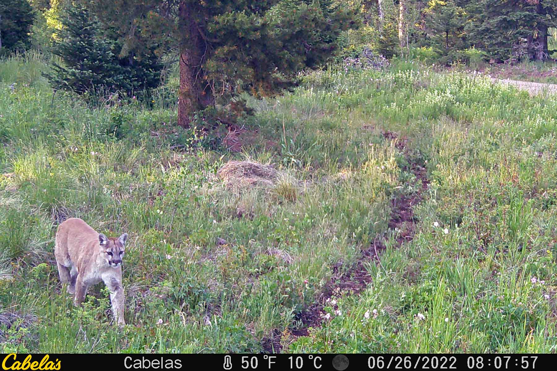 W7 Ranch at King Creek property picture 110 of 117