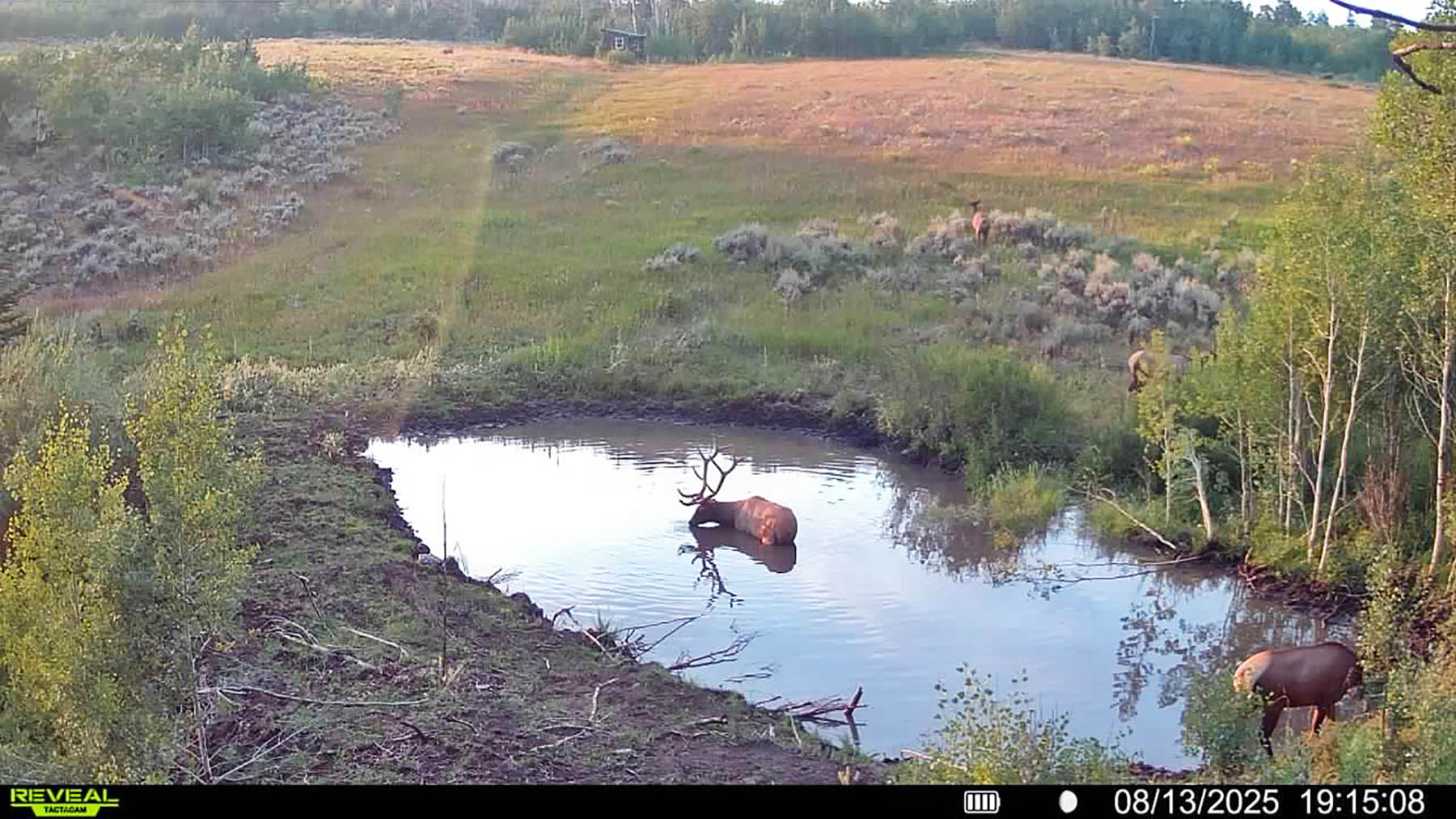 W7 Ranch at King Creek property picture 116 of 117