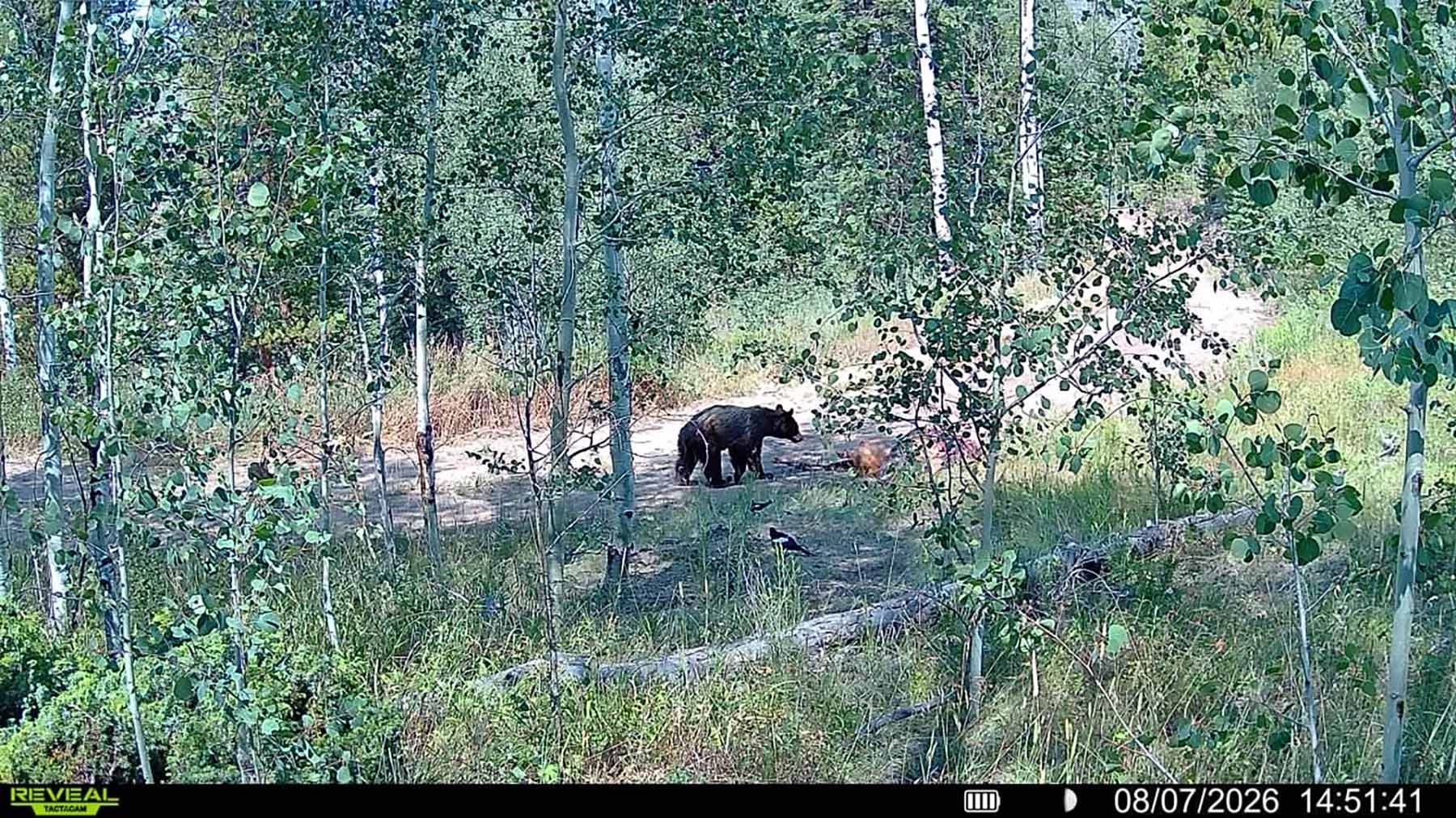W7 Ranch at King Creek property picture 7 of 124