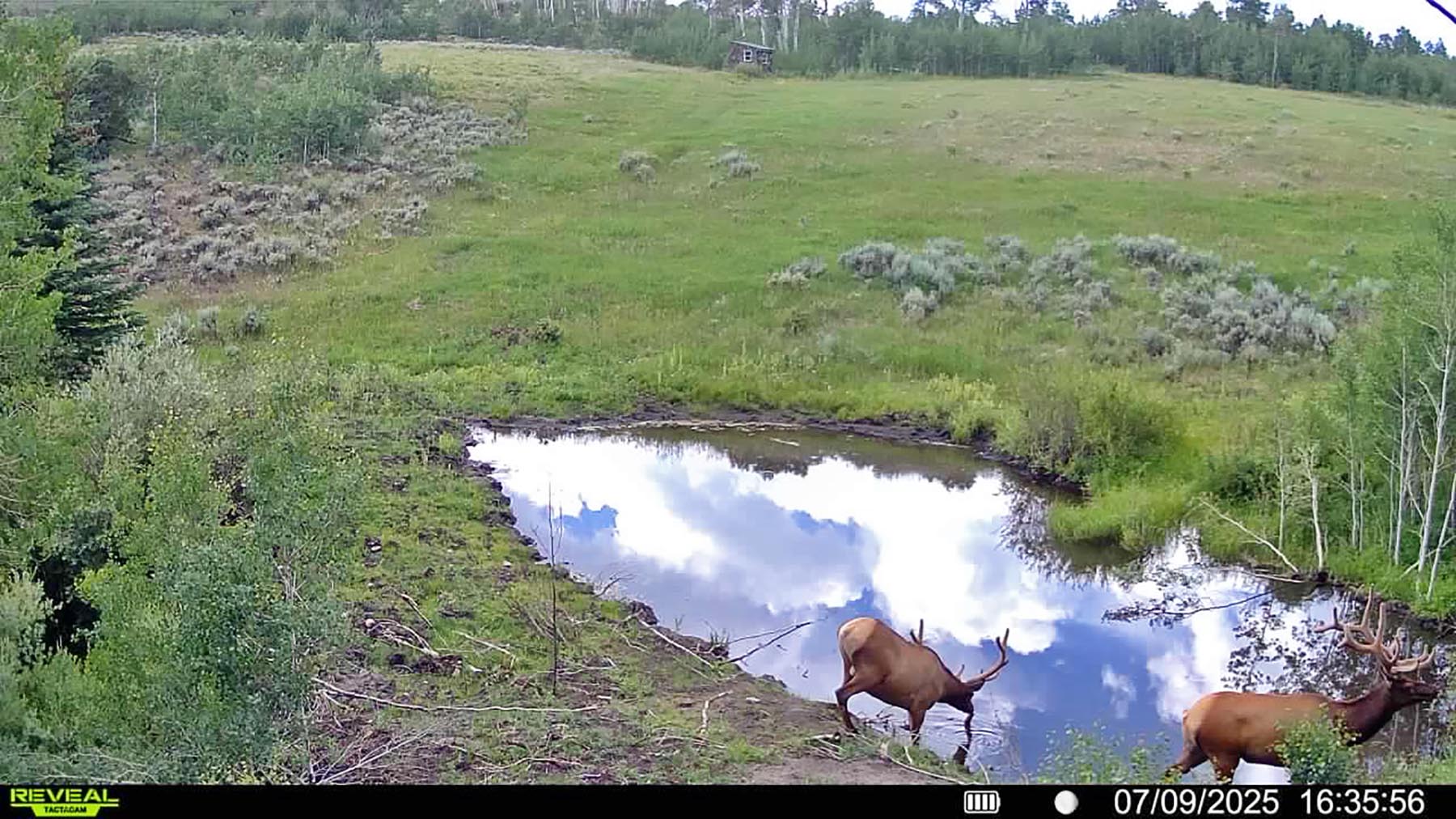 W7 Ranch at King Creek property picture 109 of 117