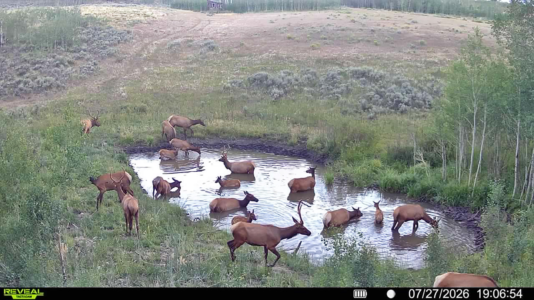 W7 Ranch at King Creek property picture 3 of 124