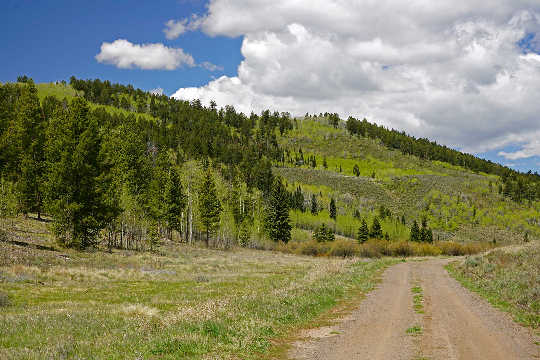 W7 Ranch at King Creek property picture 32 of 117