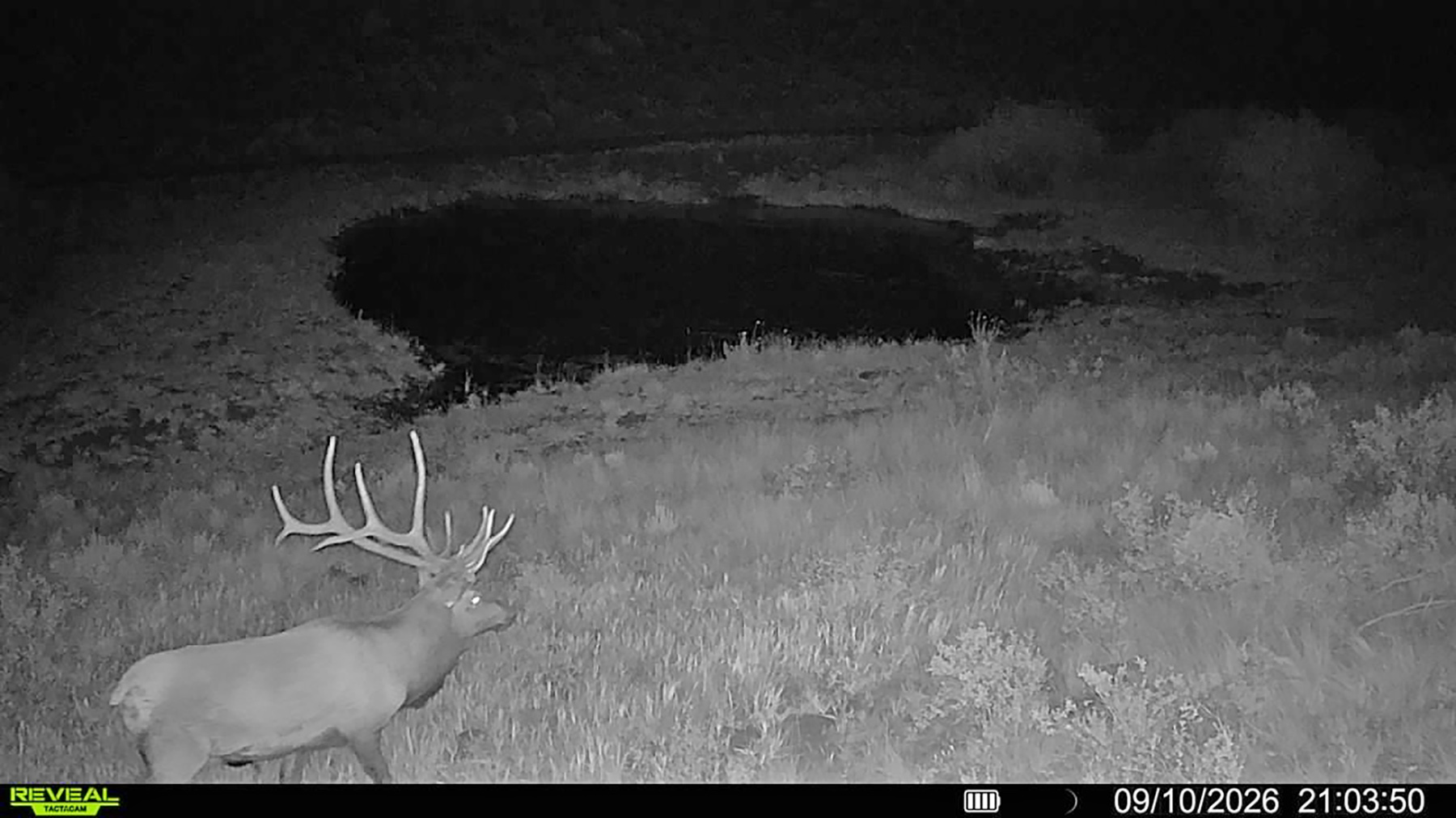 W7 Ranch at King Creek property picture 5 of 124