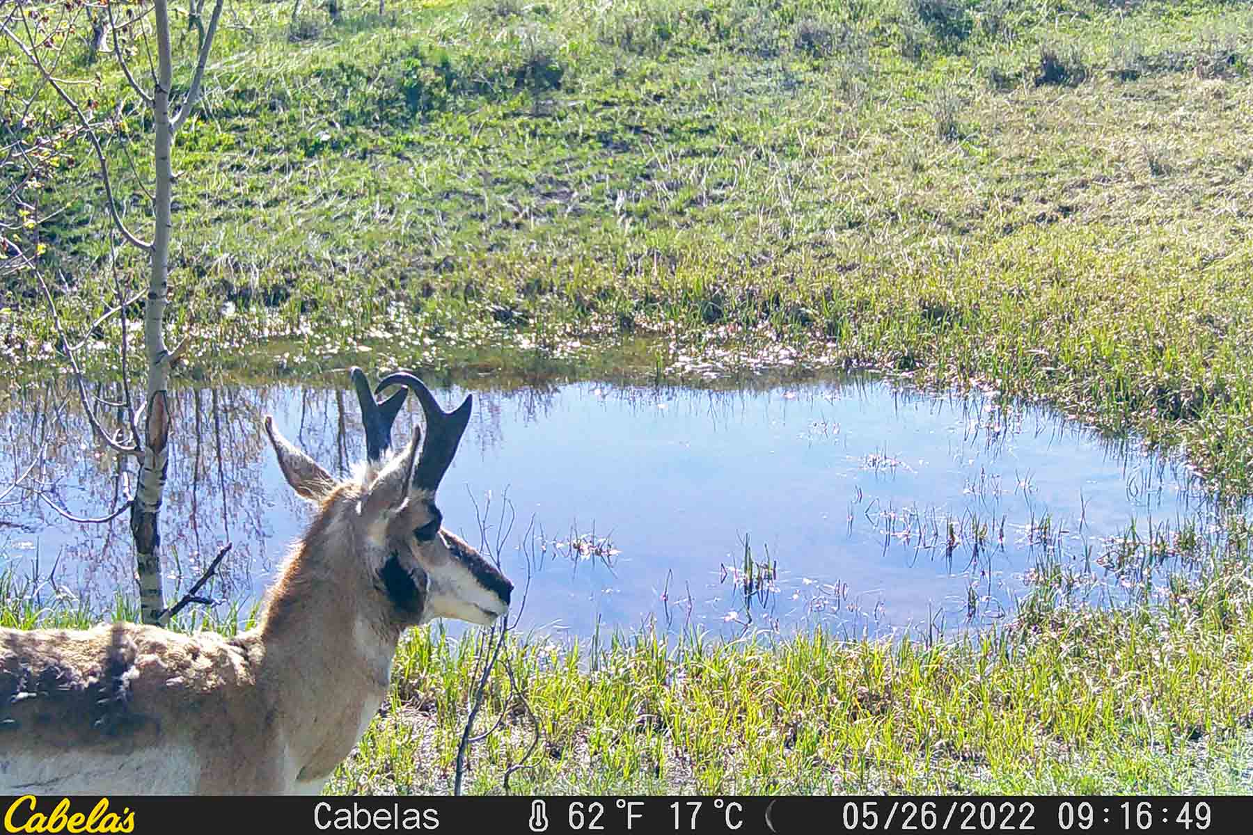 W7 Ranch at King Creek property picture 114 of 117