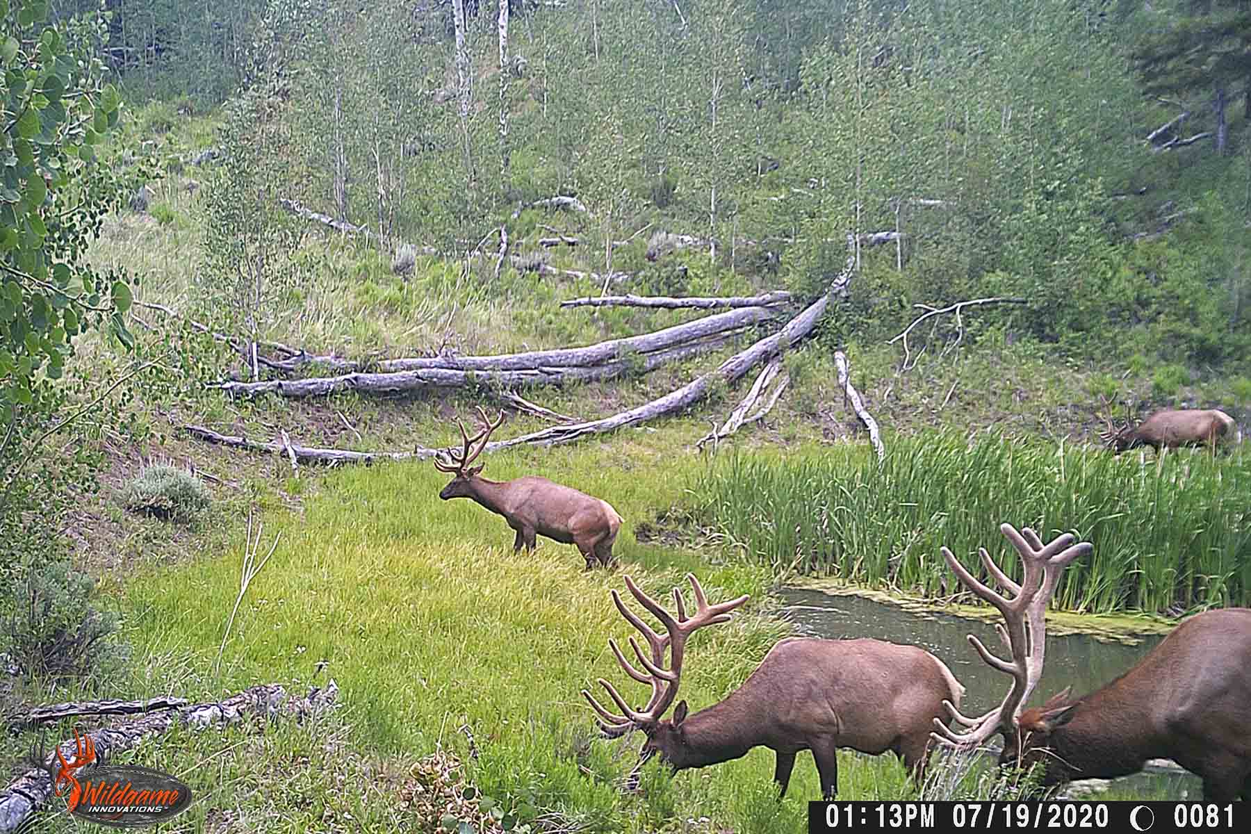 W7 Ranch at King Creek property picture 92 of 117