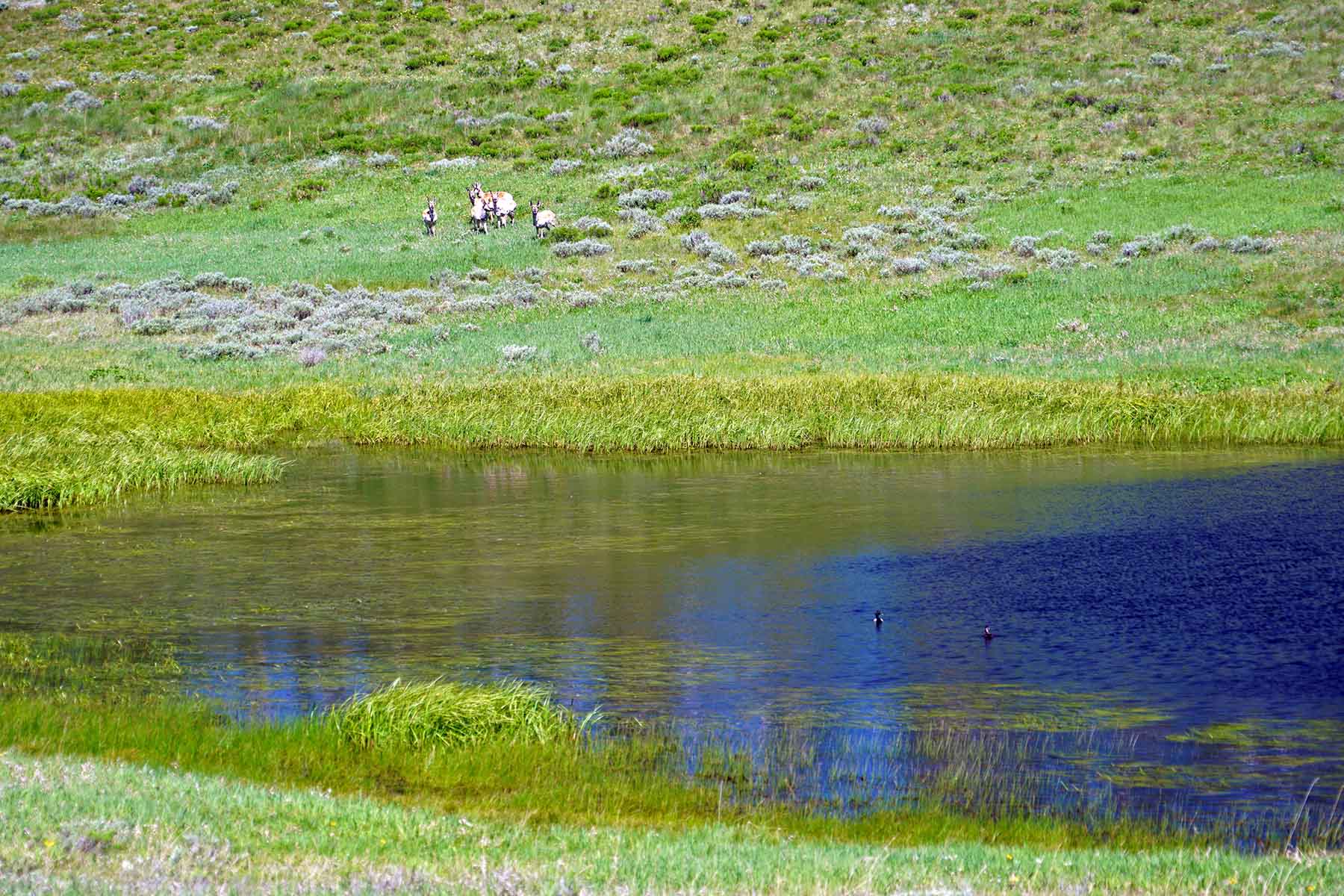W7 Ranch at King Creek property picture 38 of 117