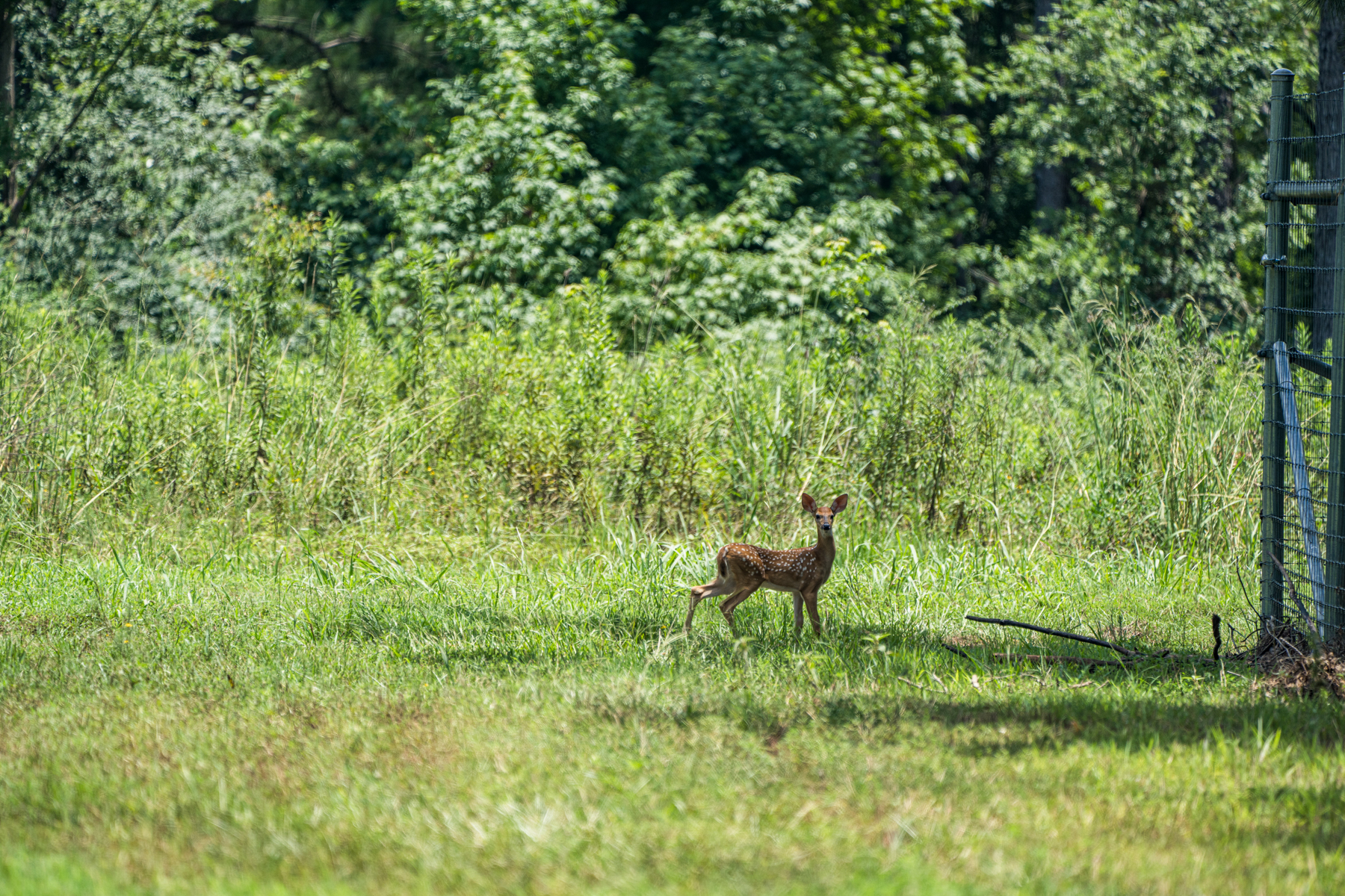 Diamond M Ranch property picture 26 of 53
