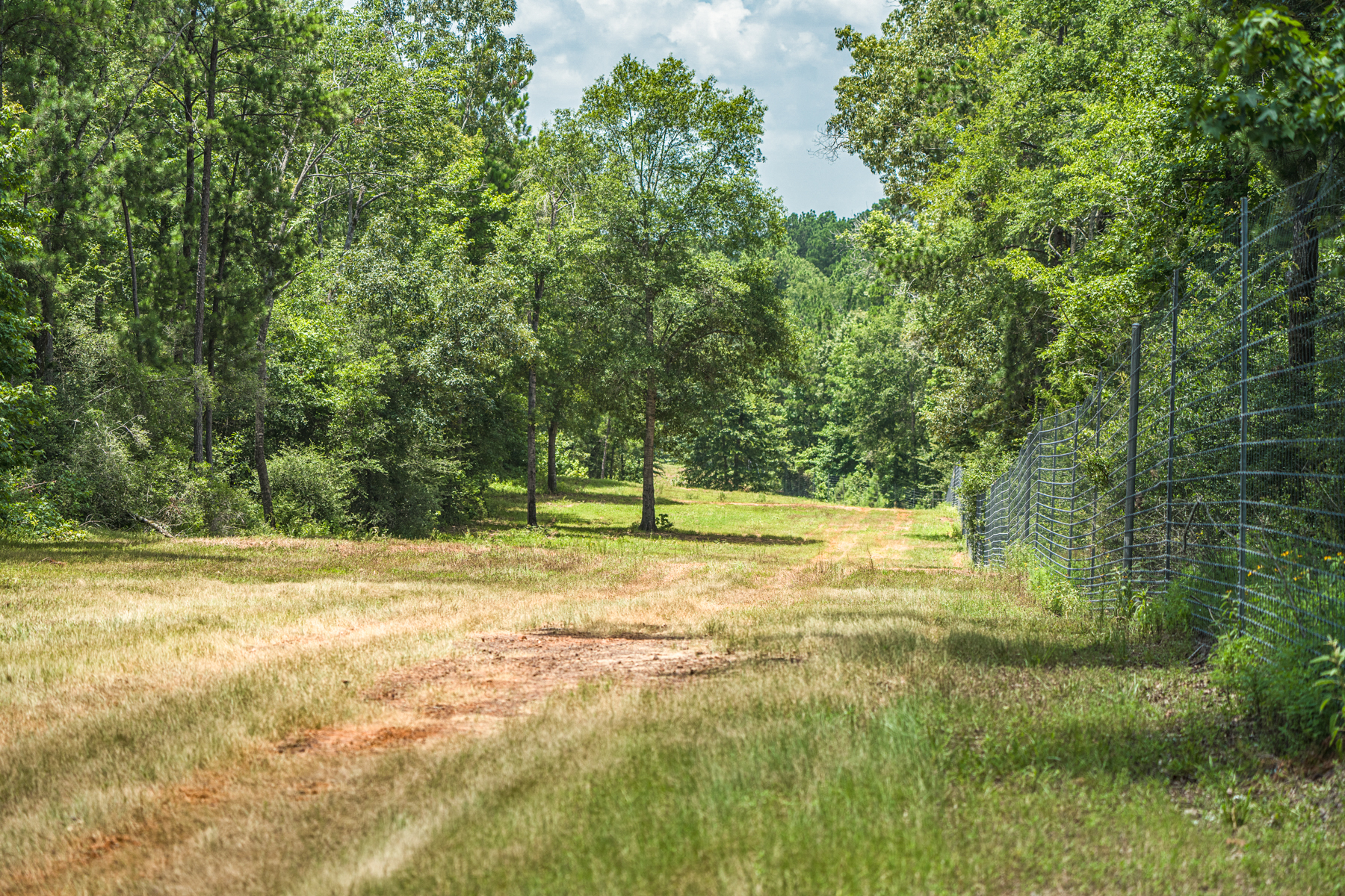 Diamond M Ranch property picture 35 of 53