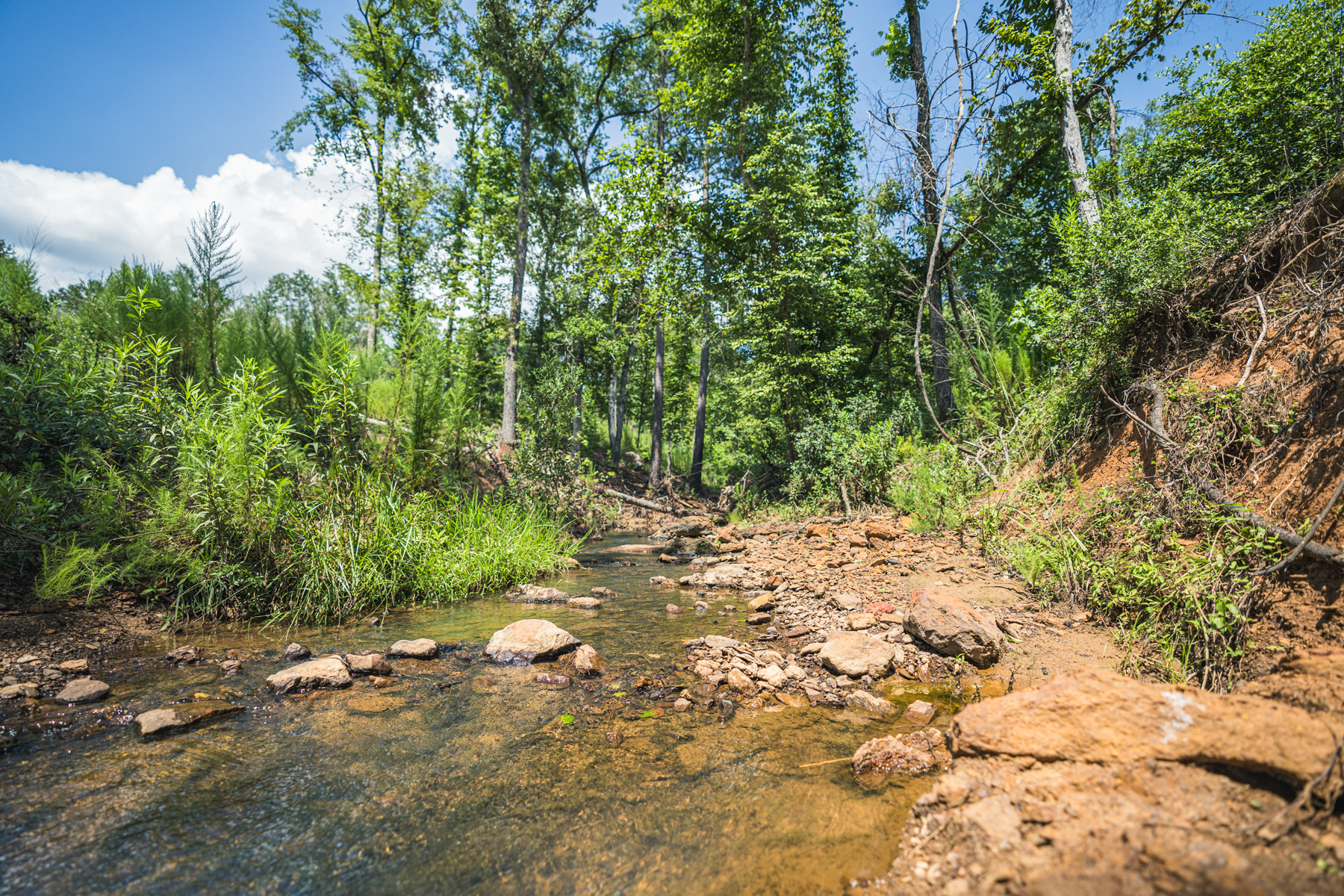 Diamond M Ranch property picture 2 of 53