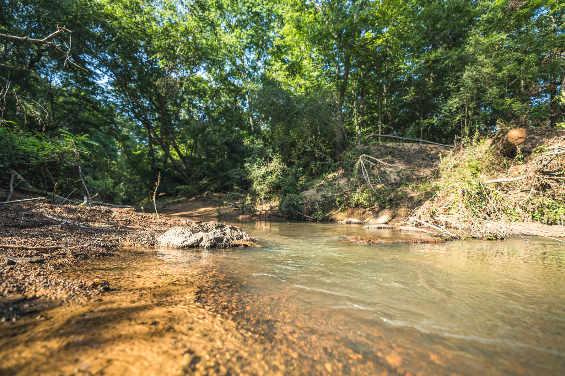 Diamond M Ranch property picture 29 of 53