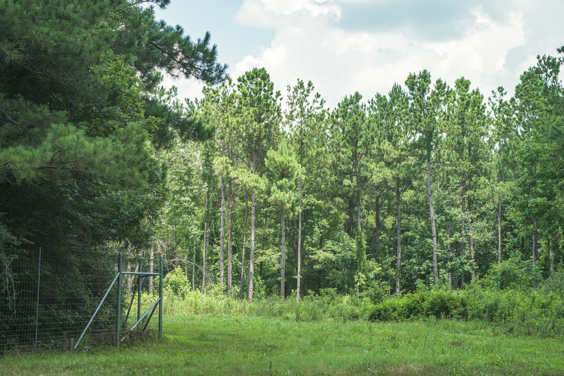 Diamond M Ranch property picture 27 of 53