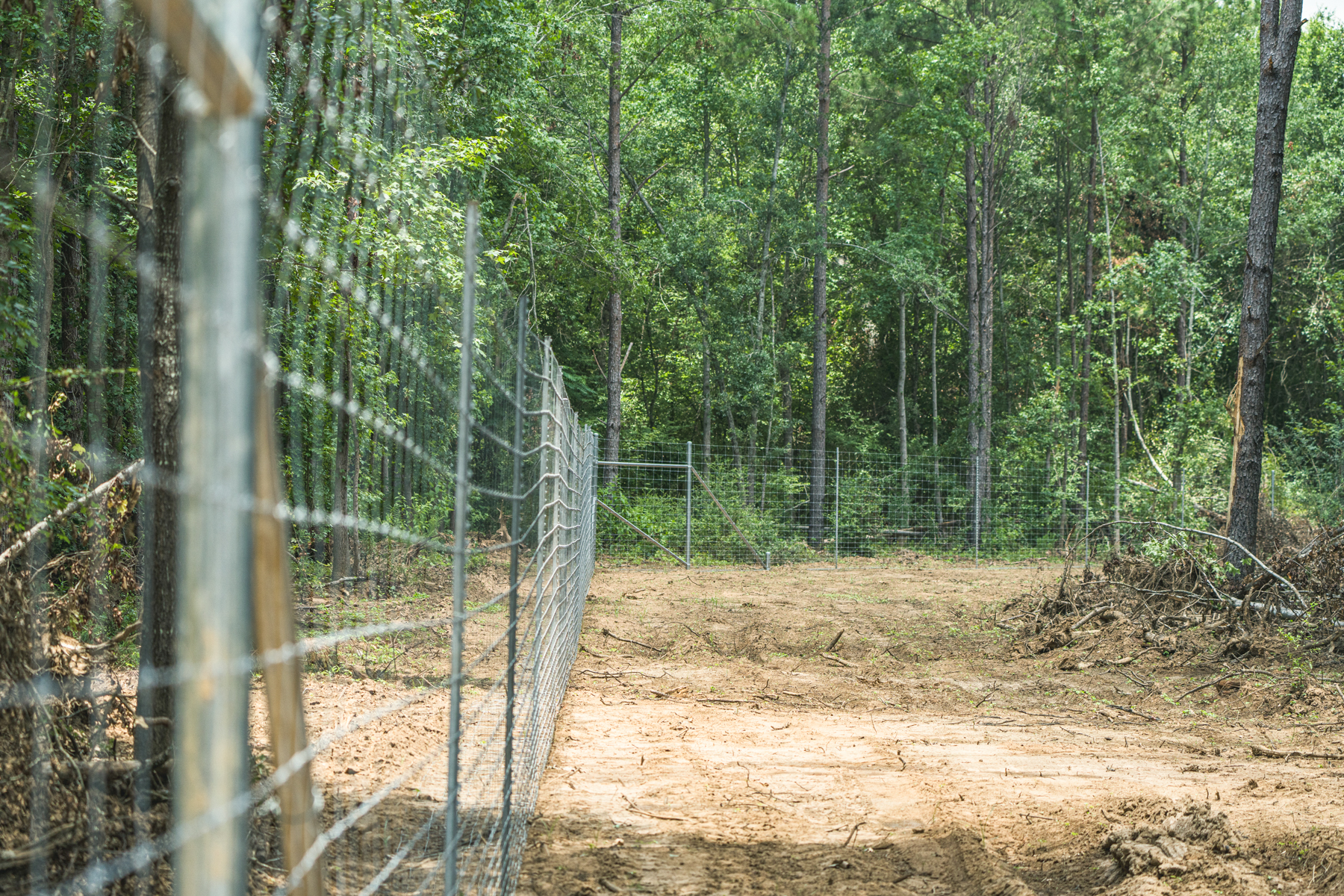 Diamond M Ranch property picture 45 of 53