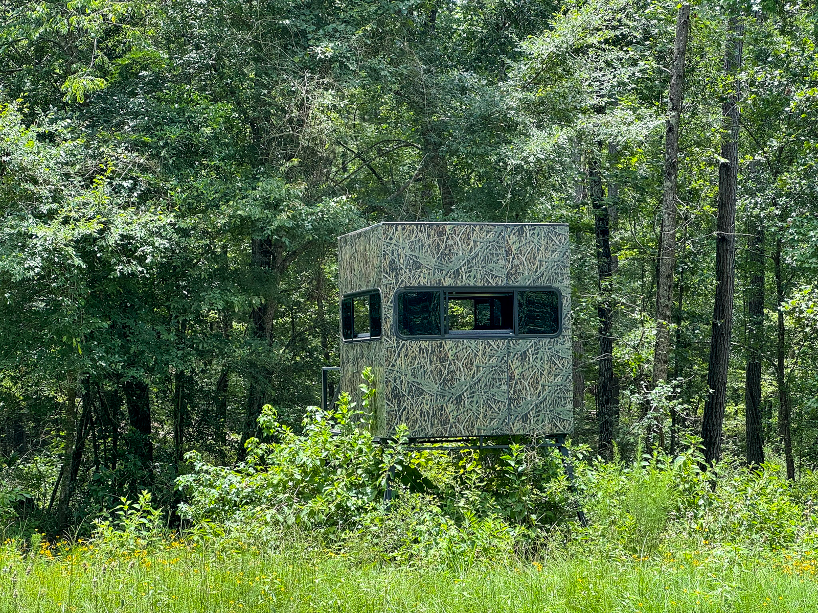 Diamond M Ranch property picture 52 of 53